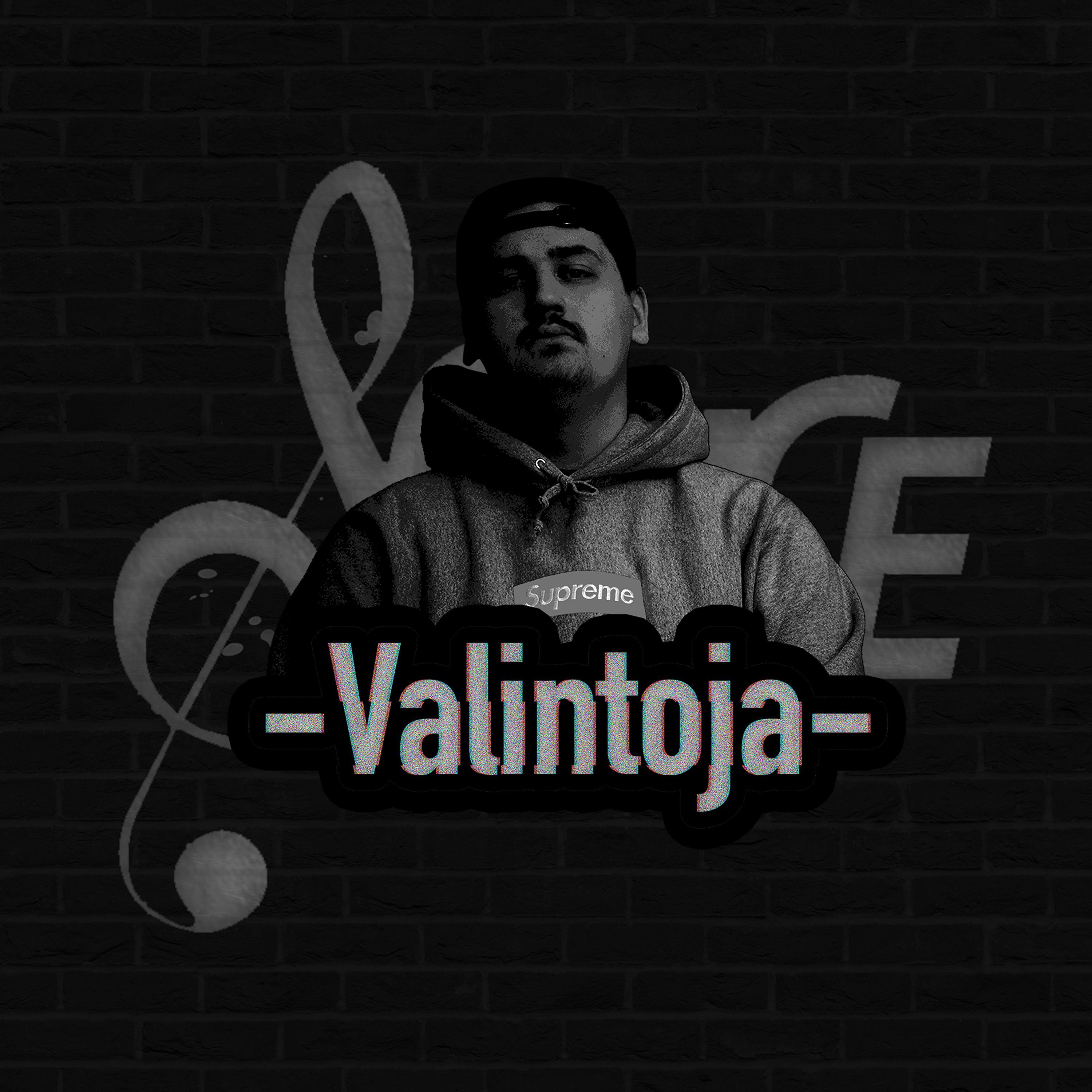 Постер альбома Valintoja