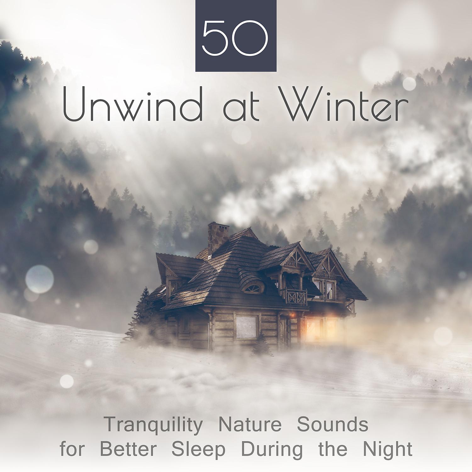 Постер альбома 50 Unwind at Winter - Tranquility Nature Sounds for Better Sleep During the Night: Stay Asleep All Night Long, Plain Dreaming & Winter Relaxation