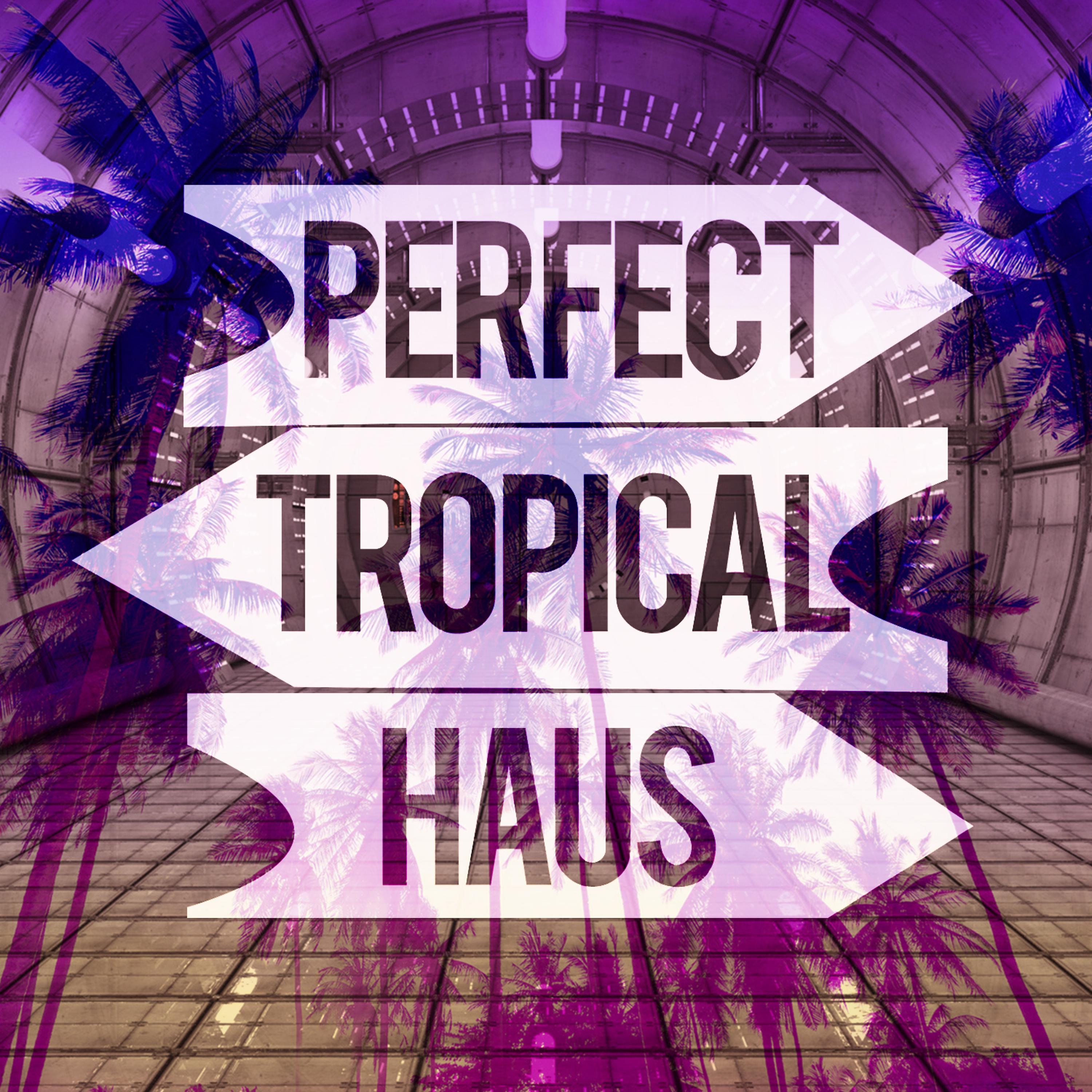 Постер альбома Perfect Tropical Haus