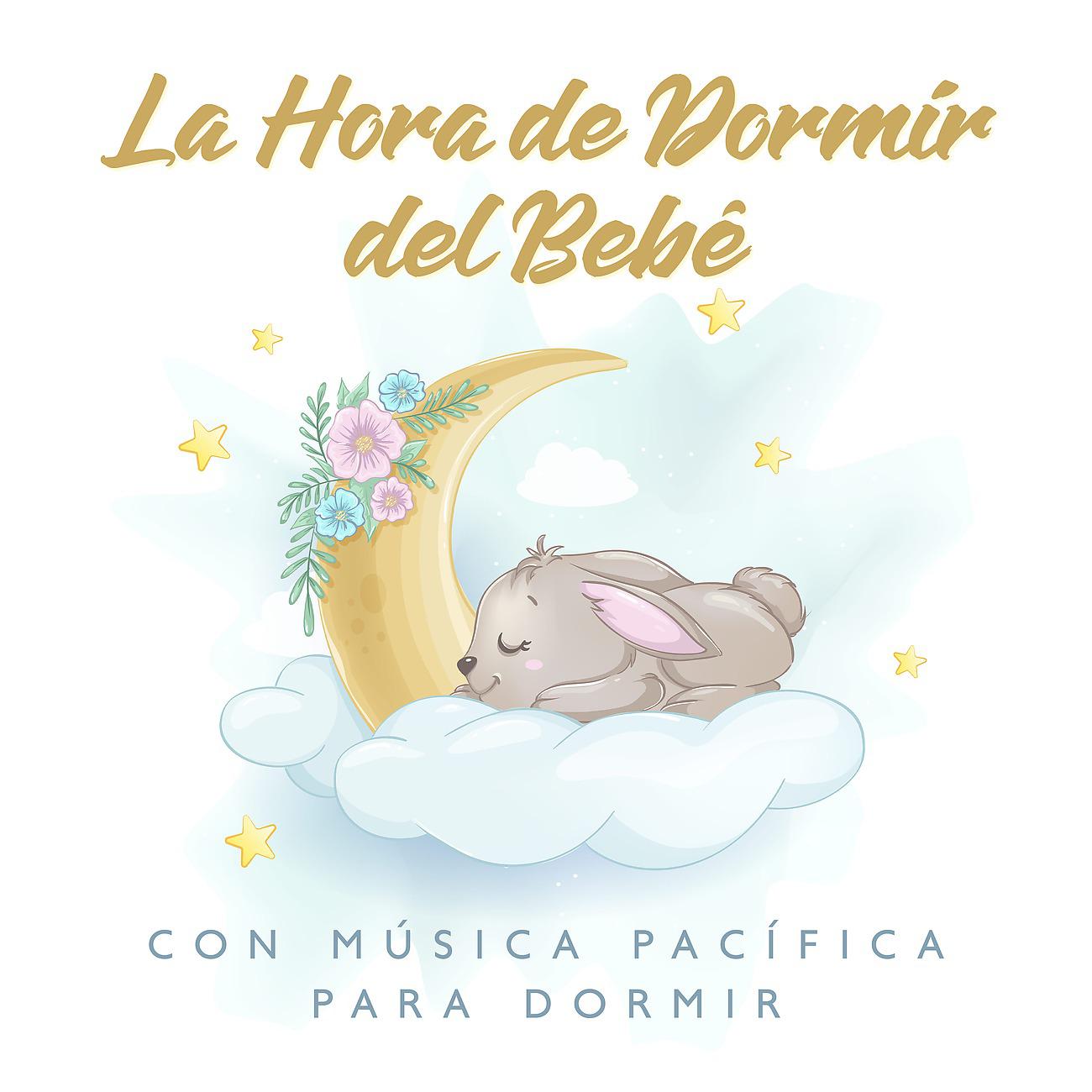 Постер альбома La Hora de Dormir del Bebé con Música Pacífica para Dormir