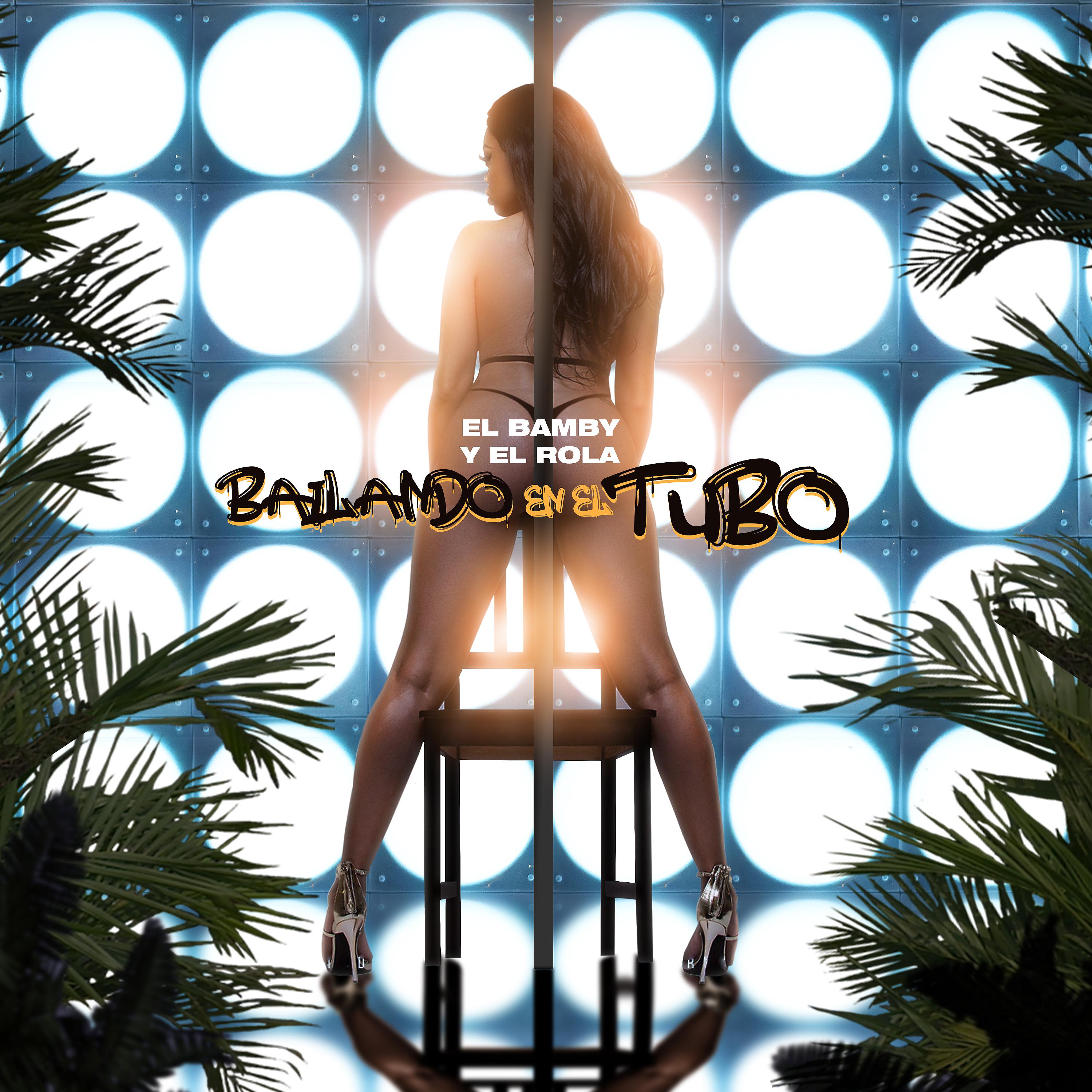 Постер альбома Bailando en el Tubo
