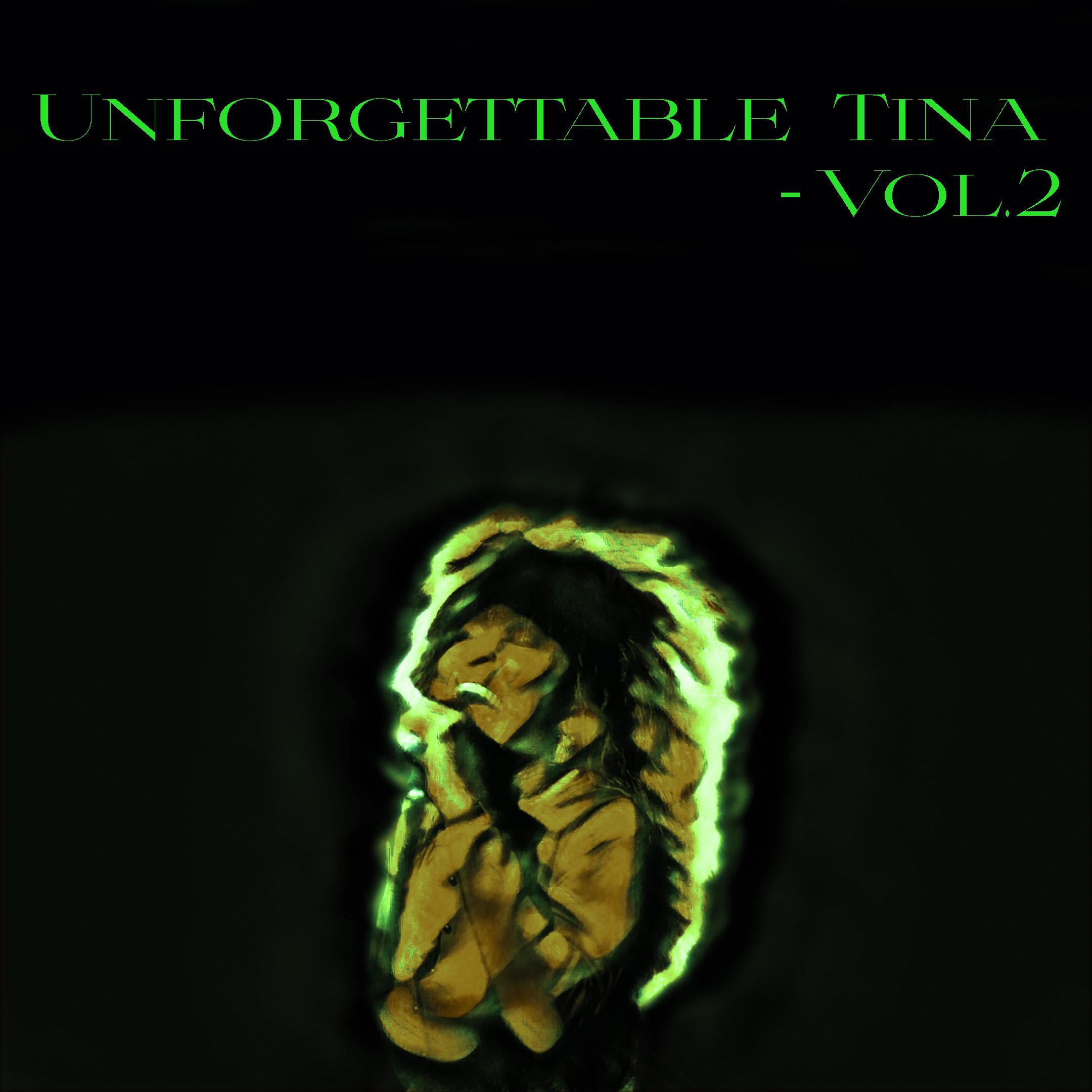 Постер альбома Unforgettable Tina - , Vol. 2