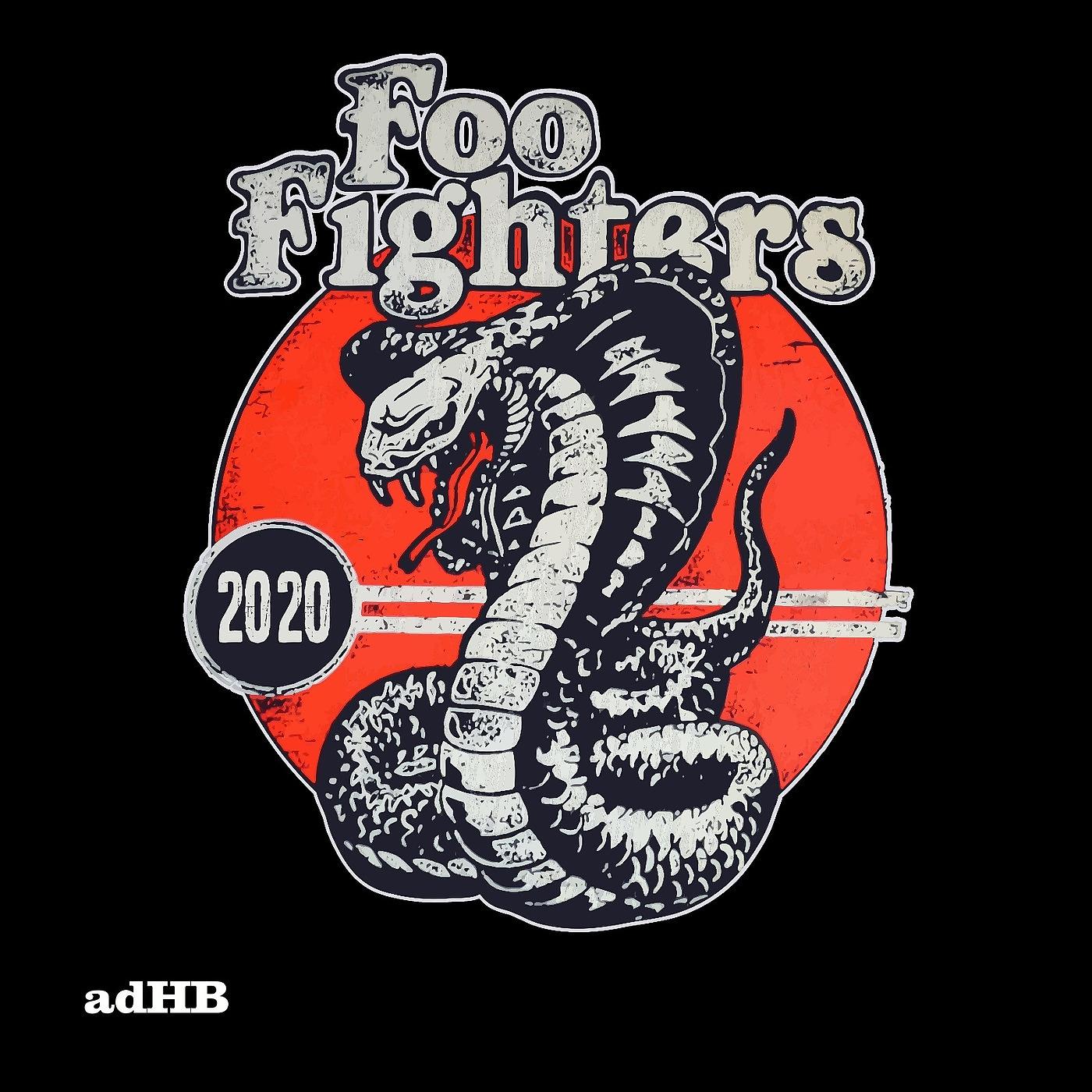 Постер альбома Foo Fighters 2020 (AdHB)
