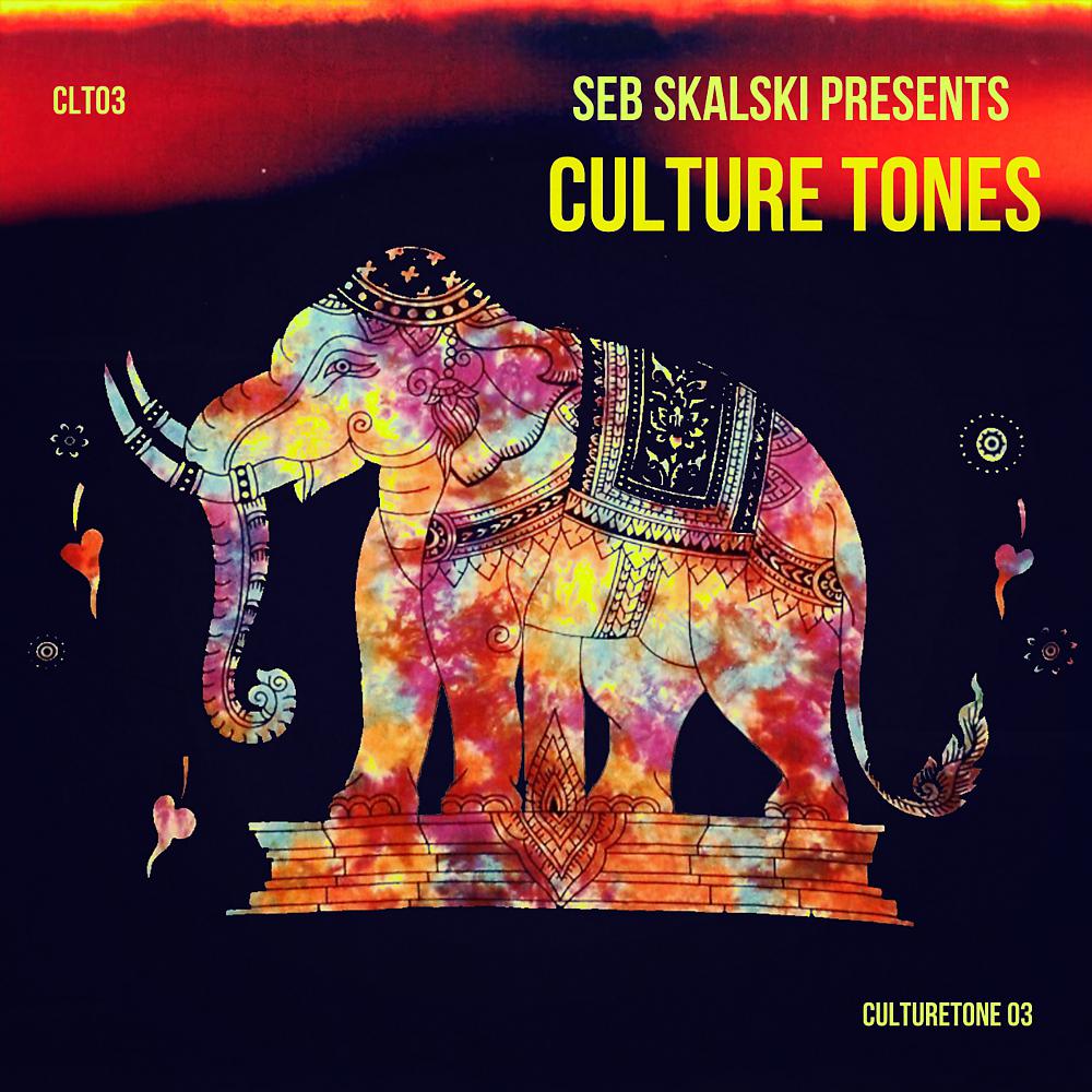 Постер альбома Culture Tones