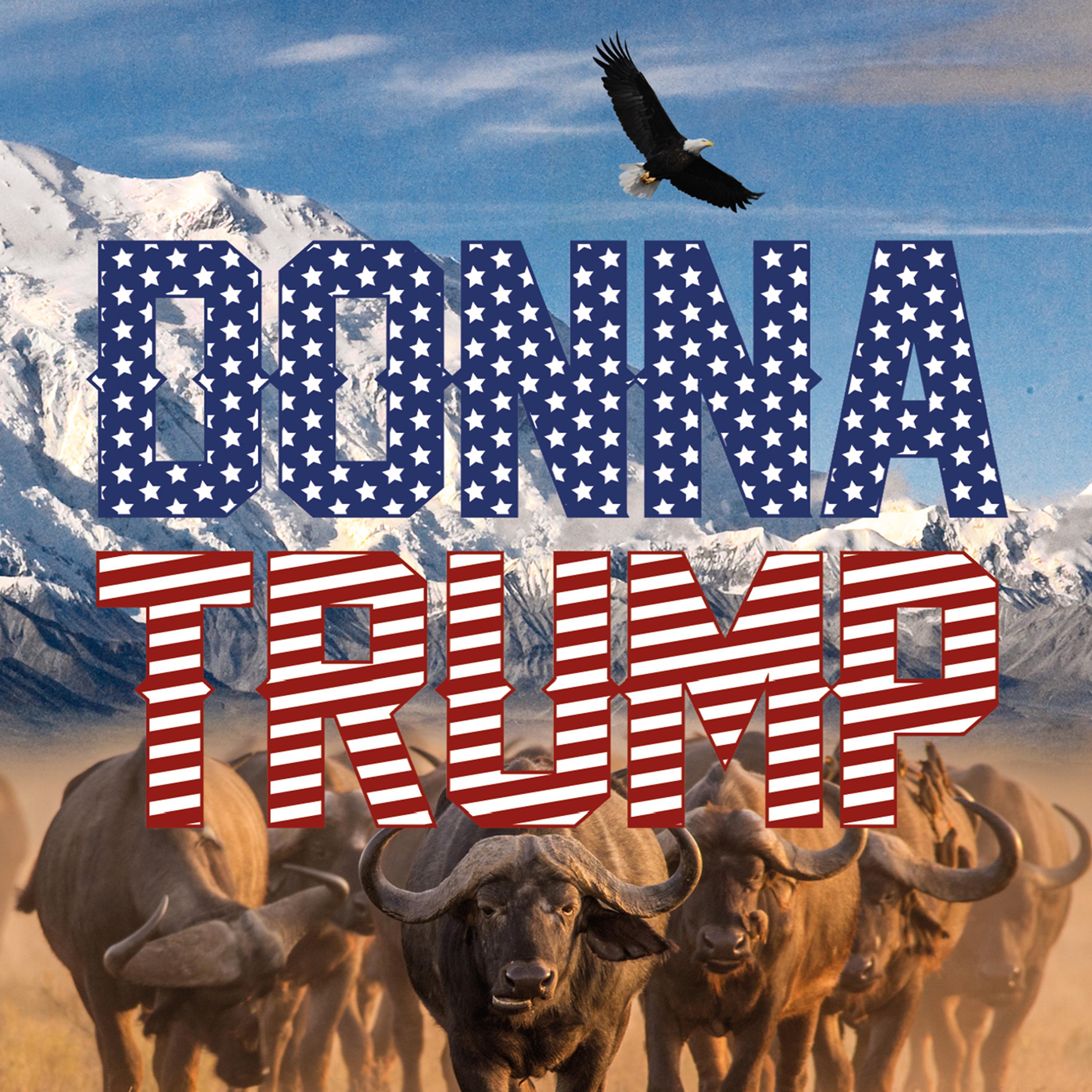 Постер альбома Donna Trump