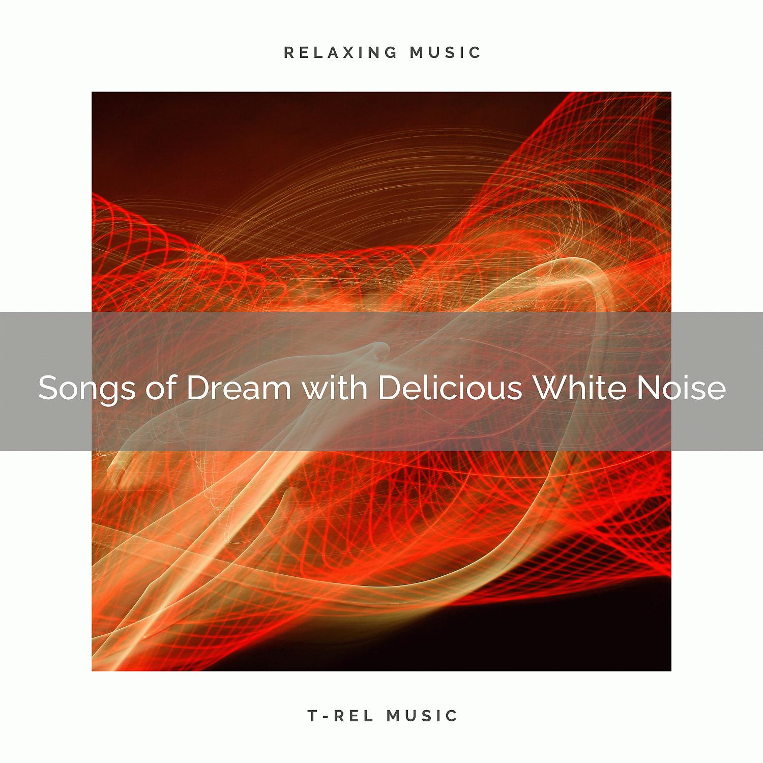 Постер альбома Songs of Dream with Delicious White Noise