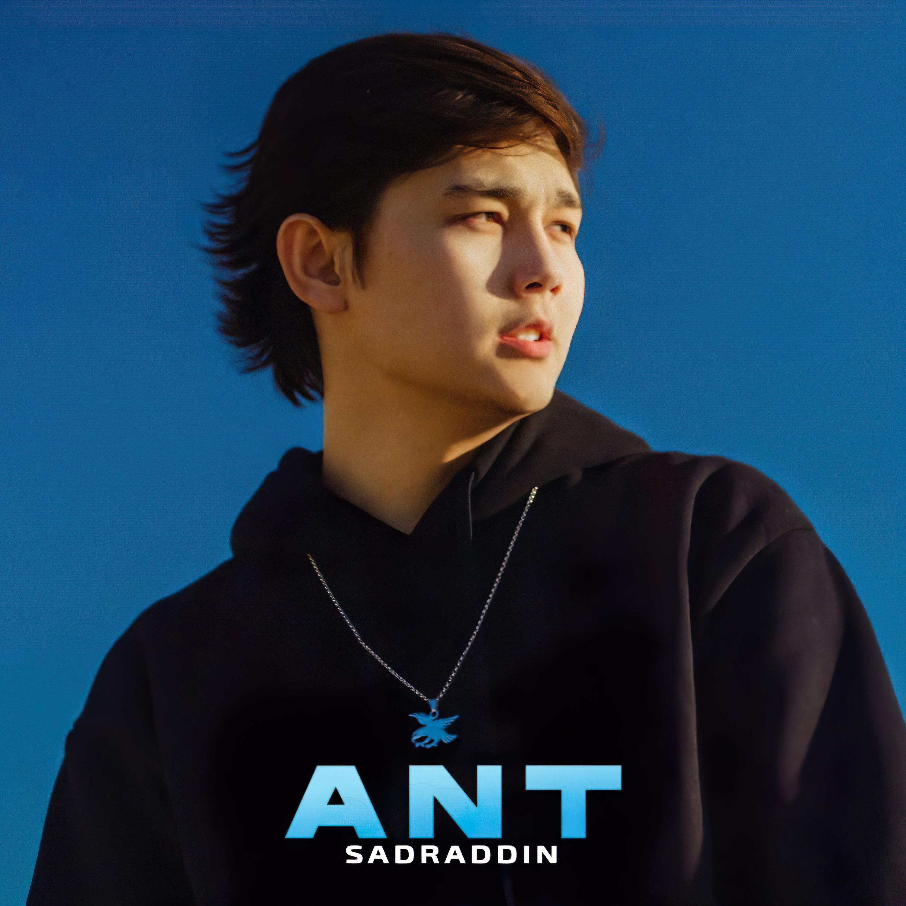 Постер альбома ANT