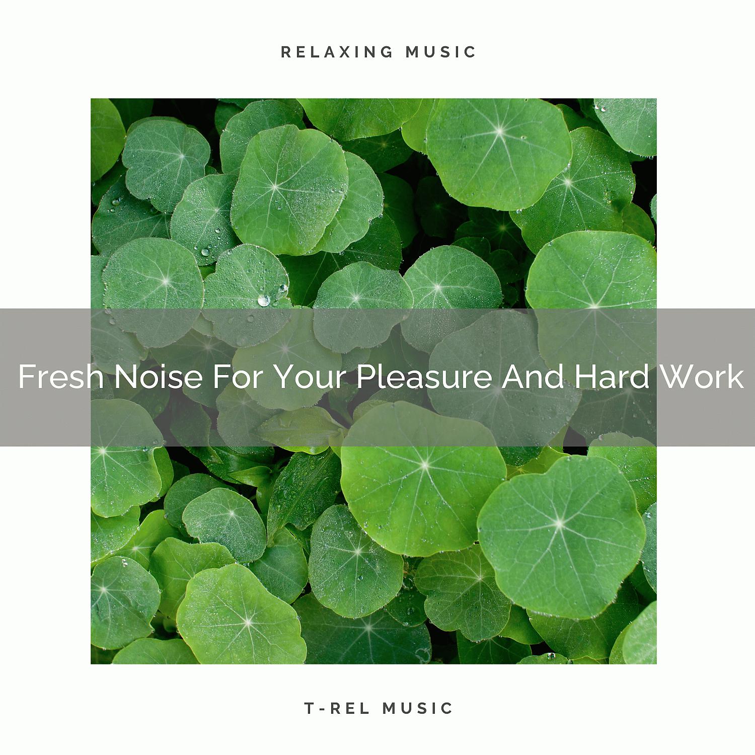 Постер альбома Fresh Noise For Your Pleasure And Hard Work