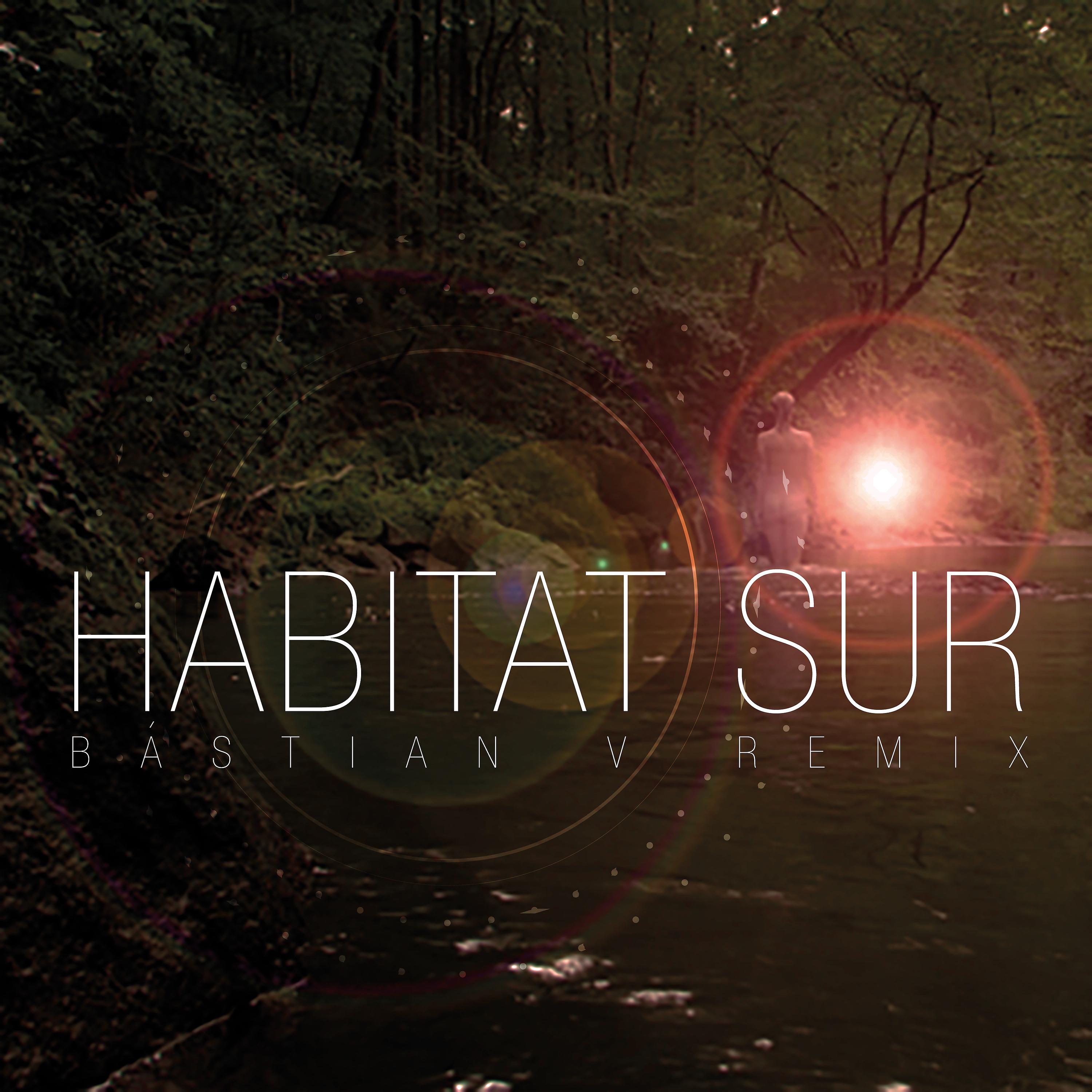 Постер альбома Hábitat Sur (Bástian V Remix)