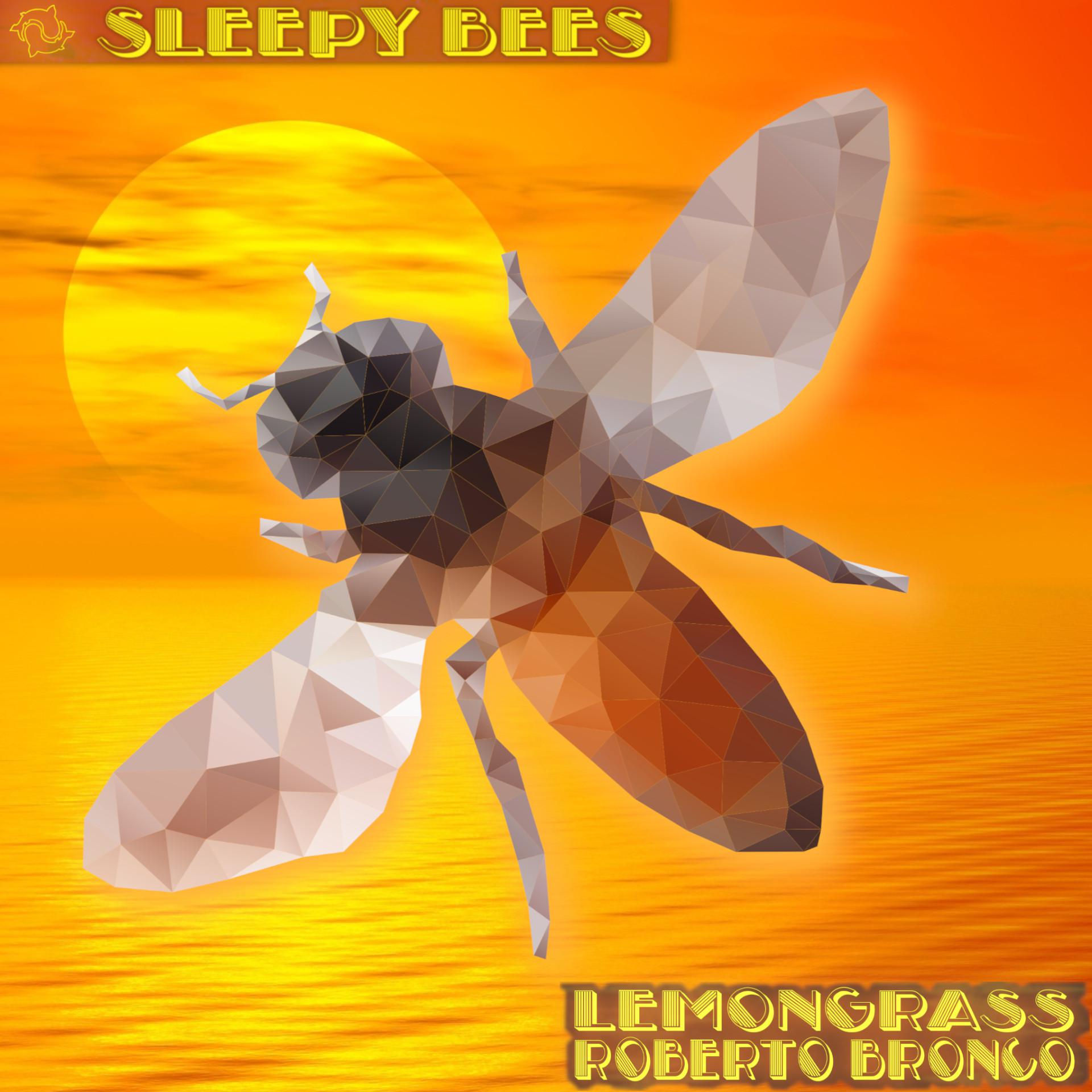Постер альбома Sleepy Bees