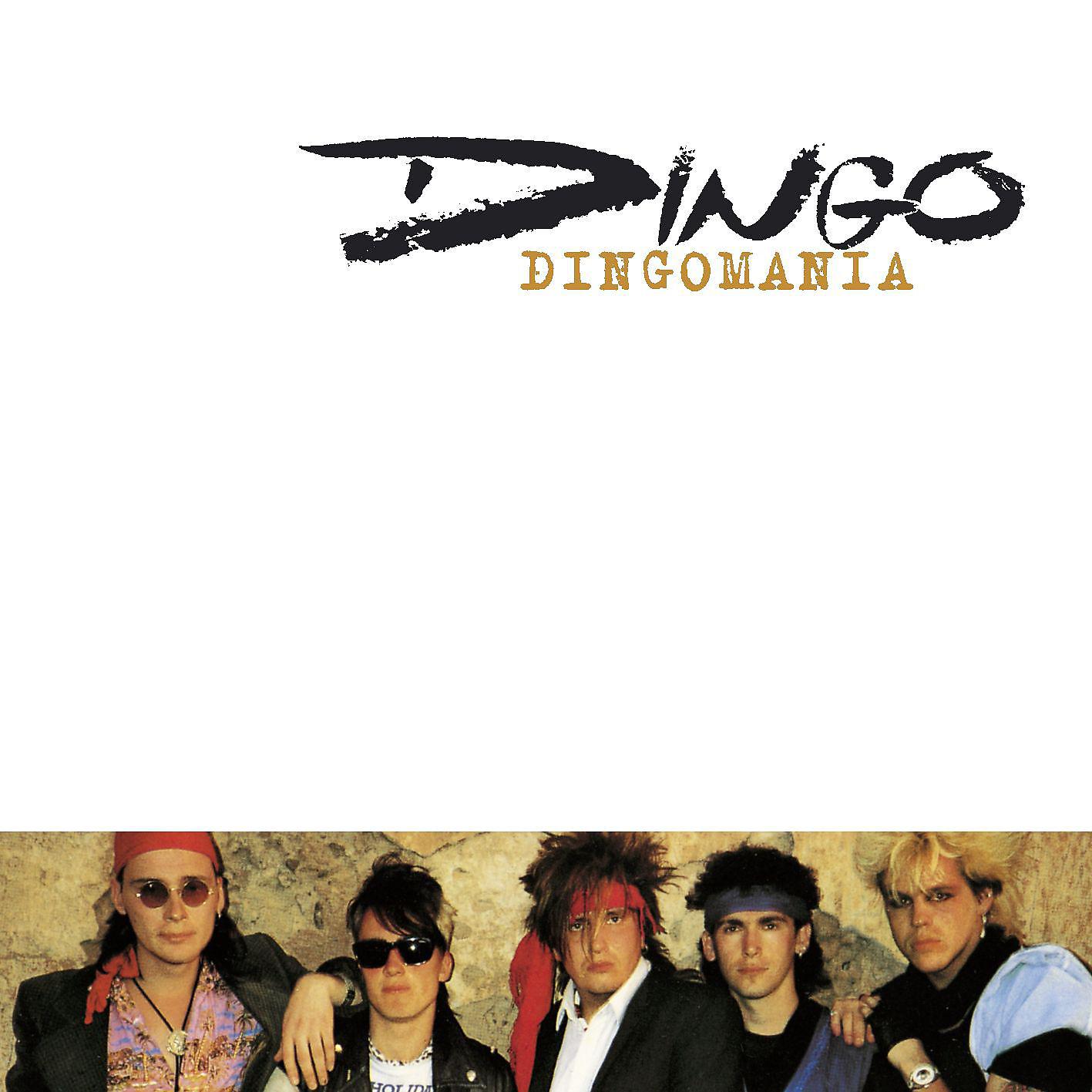 Постер альбома Dingomania