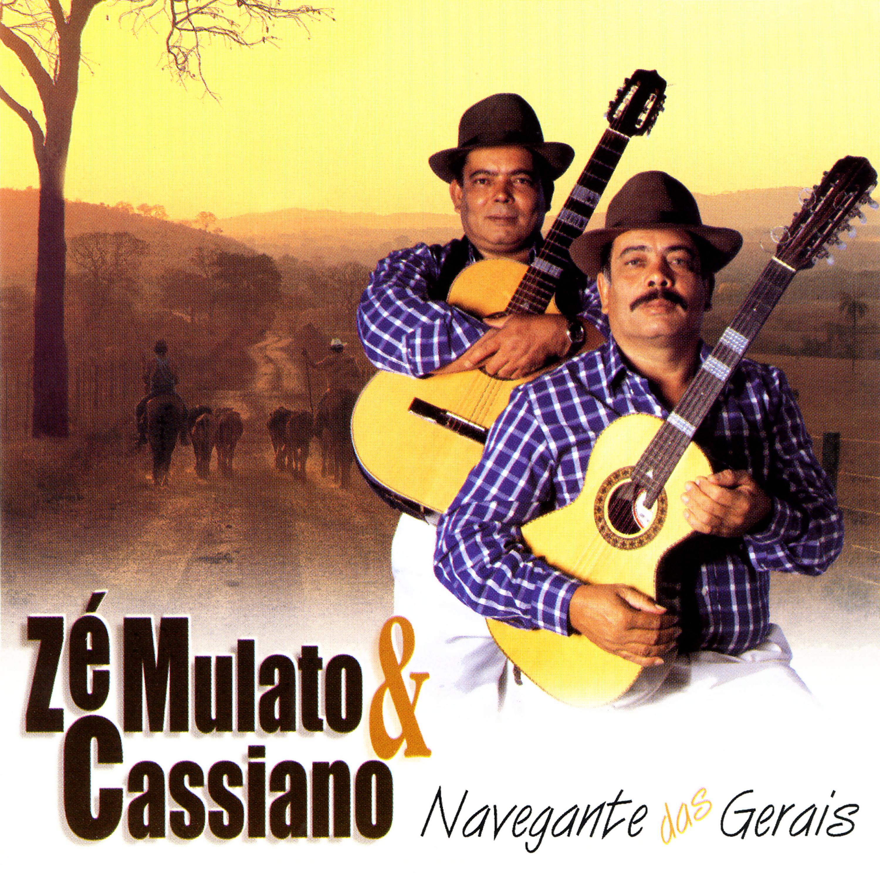 Постер альбома Navegante Das Gerais