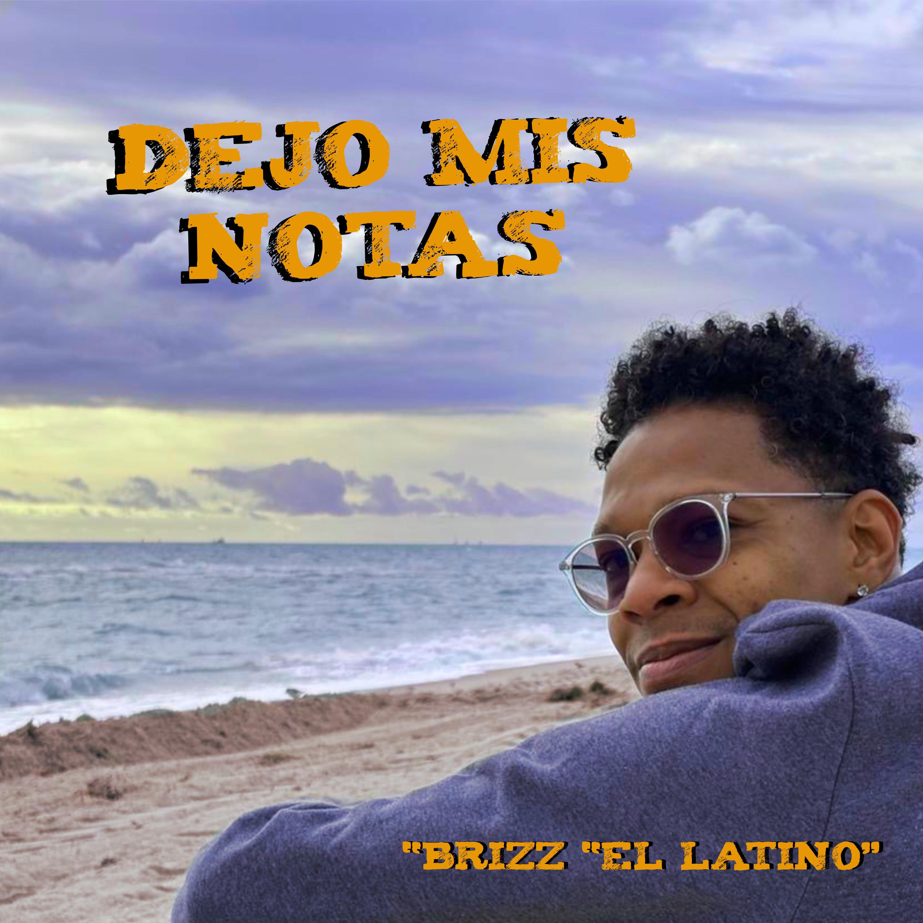 Постер альбома Dejo Mis Notas