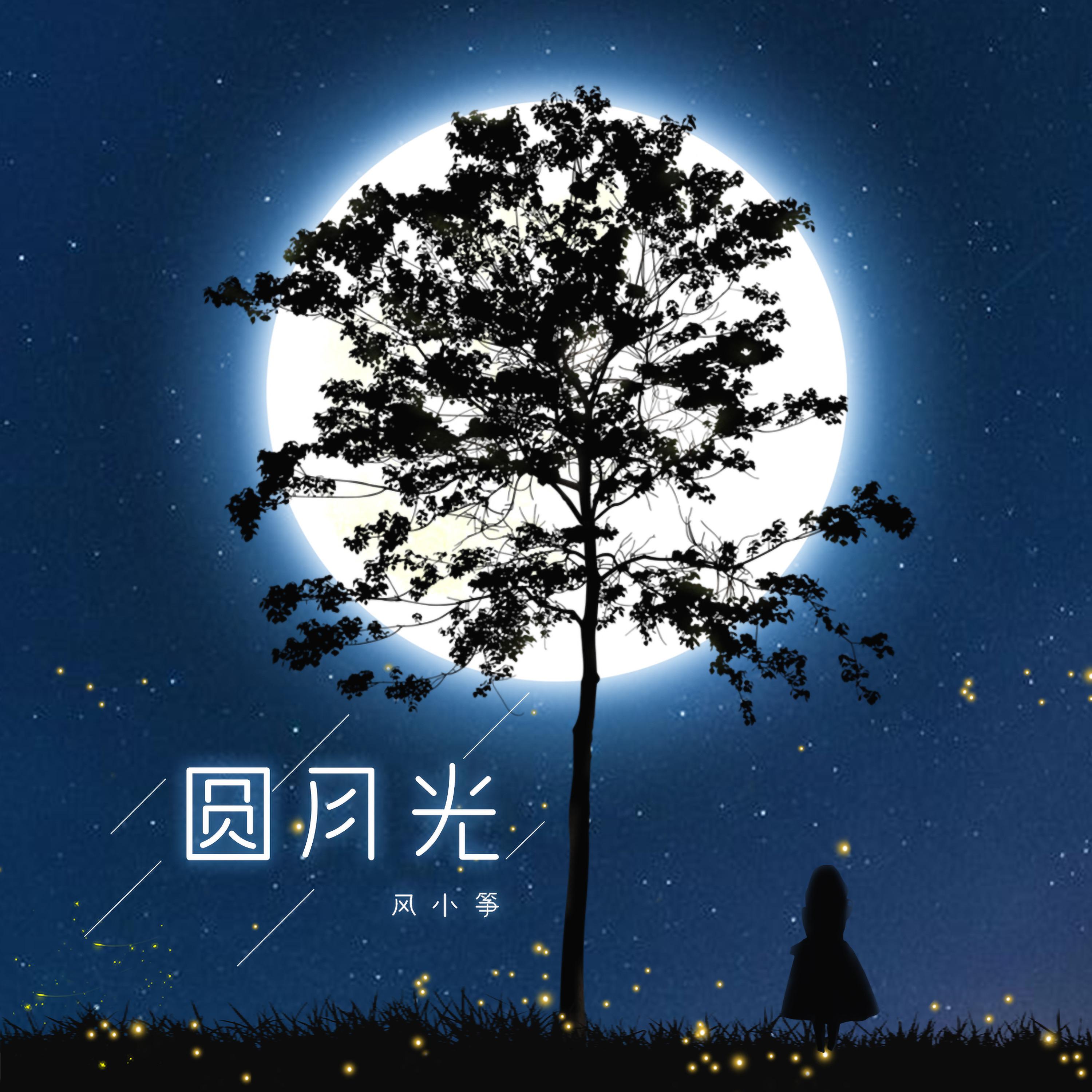 Постер альбома 圆月光