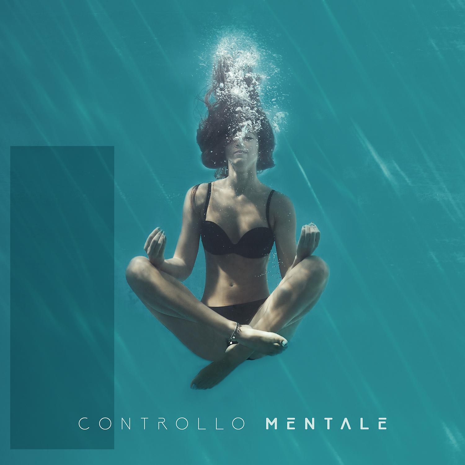 Постер альбома Controllo mentale - Profonda armonia, Beatitudine interiore, Musica per la meditazione