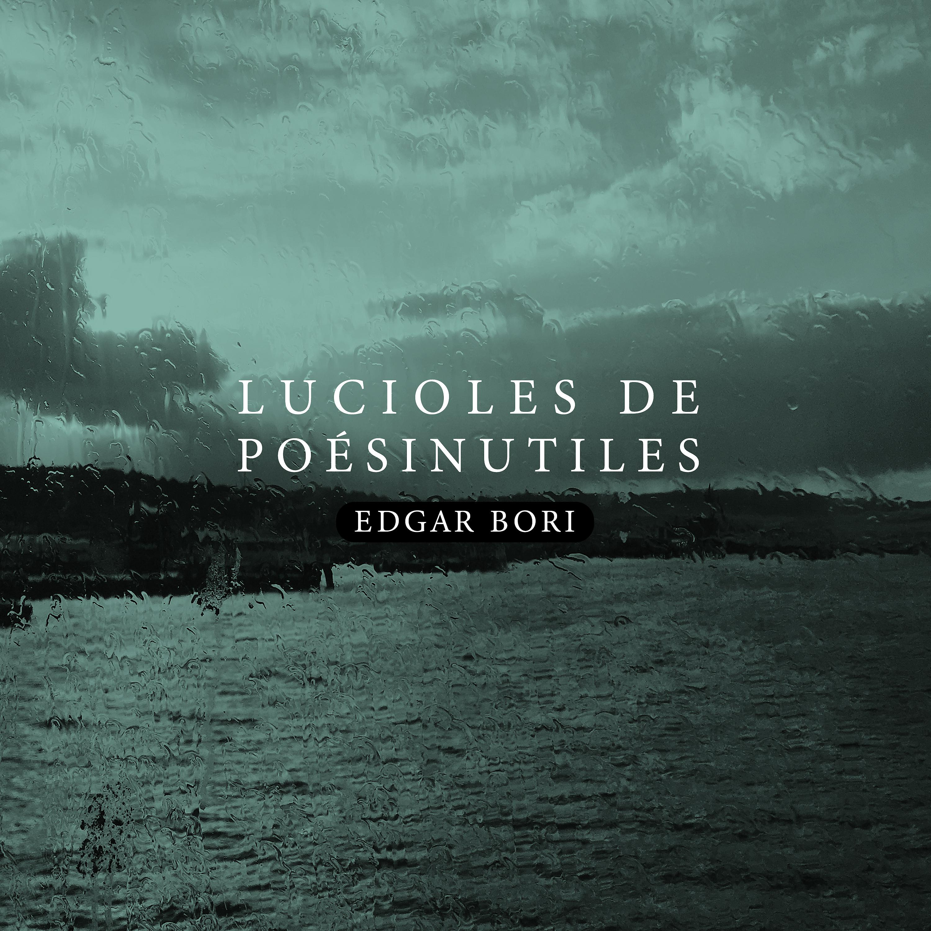 Постер альбома Lucioles de Poésinutiles