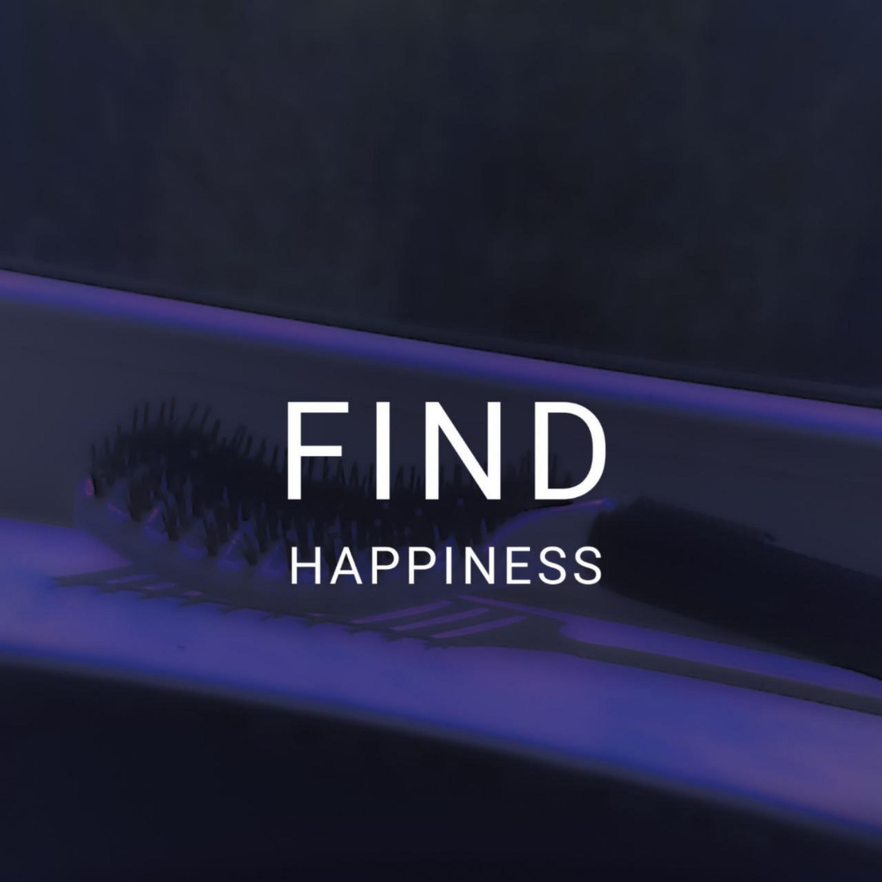 Постер альбома Find Happiness