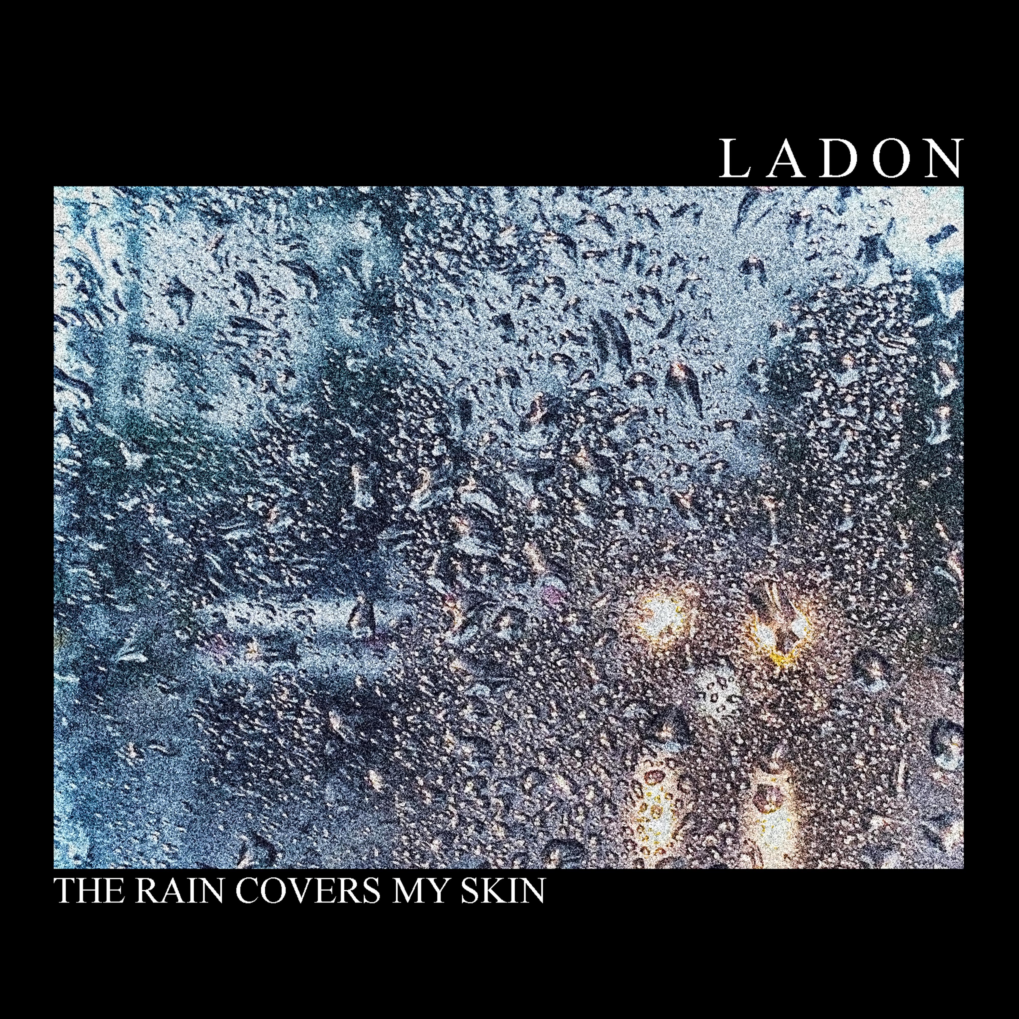 Постер альбома The Rain Covers My Skin
