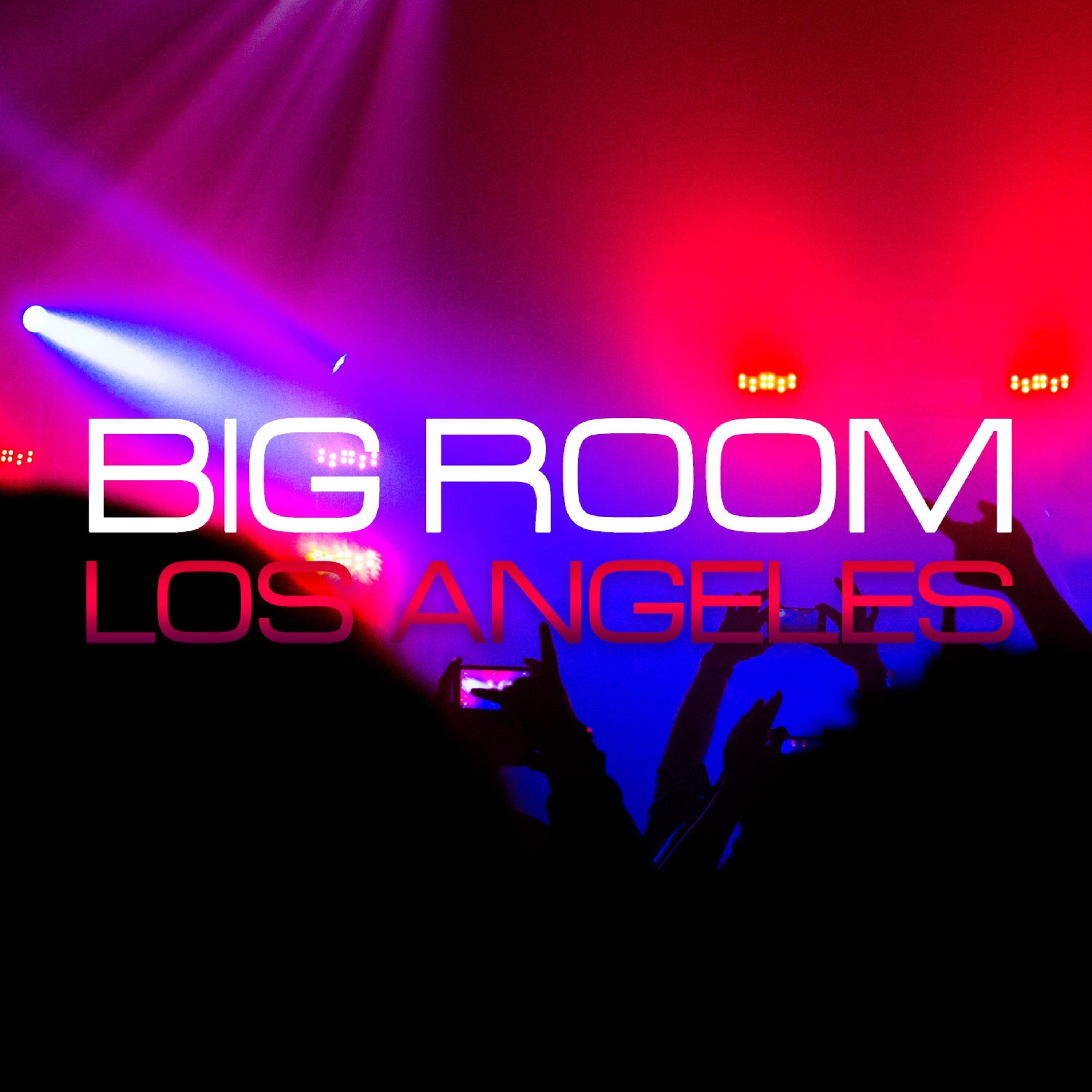 Постер альбома Big Room Los Angeles