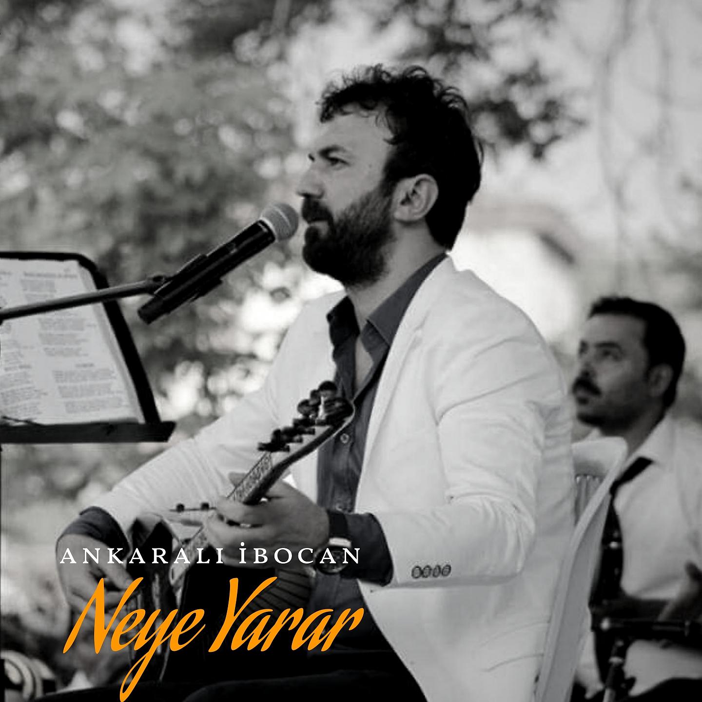 Постер альбома Neye Yarar