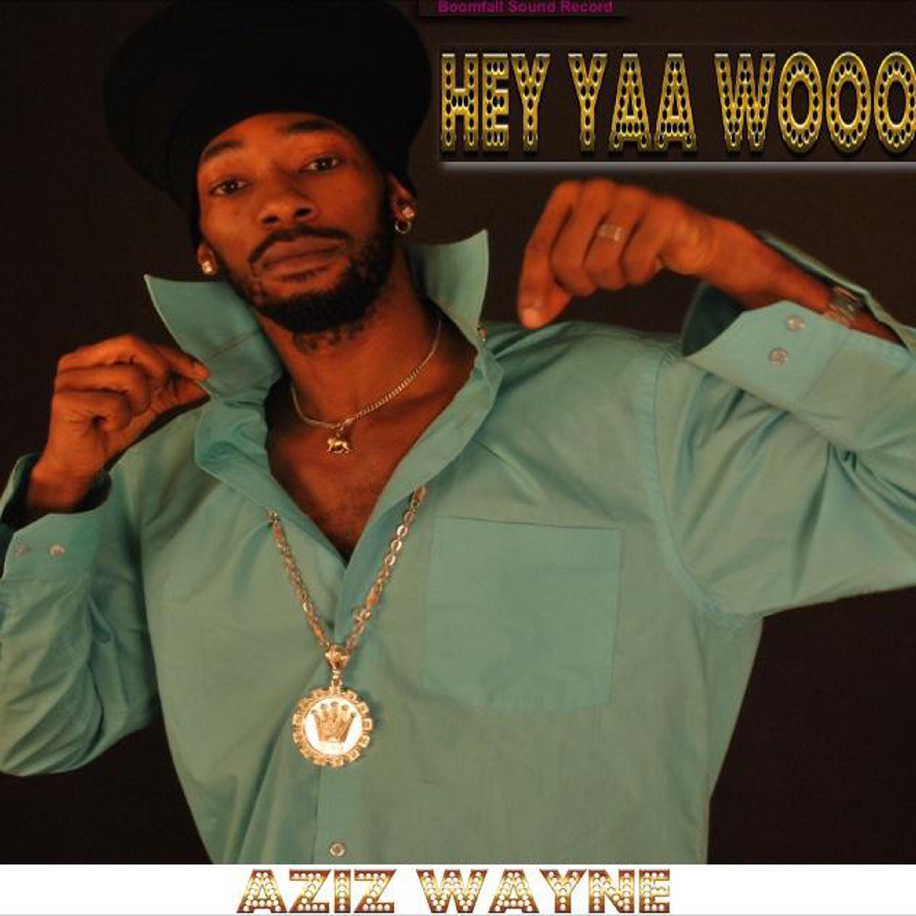 Постер альбома Hey Yaa Wooo