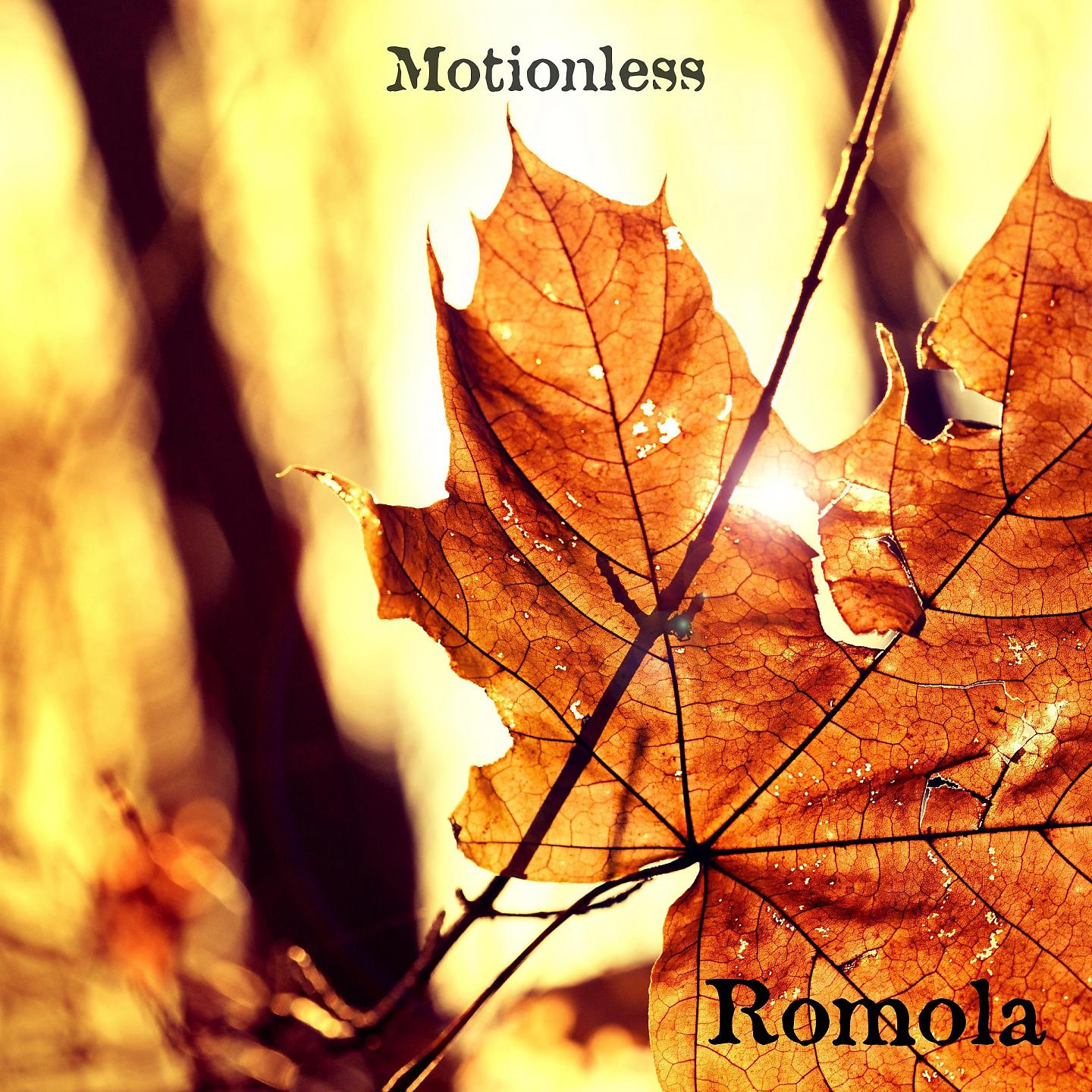 Постер альбома Motionless