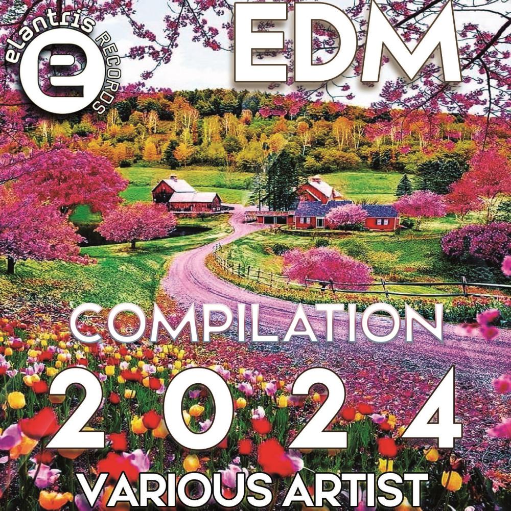 Постер альбома Compilation EDM 2024
