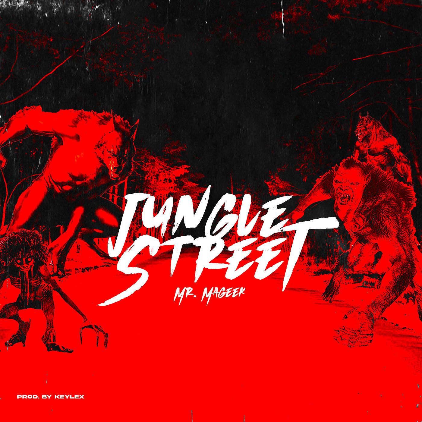 Постер альбома Jungle Street