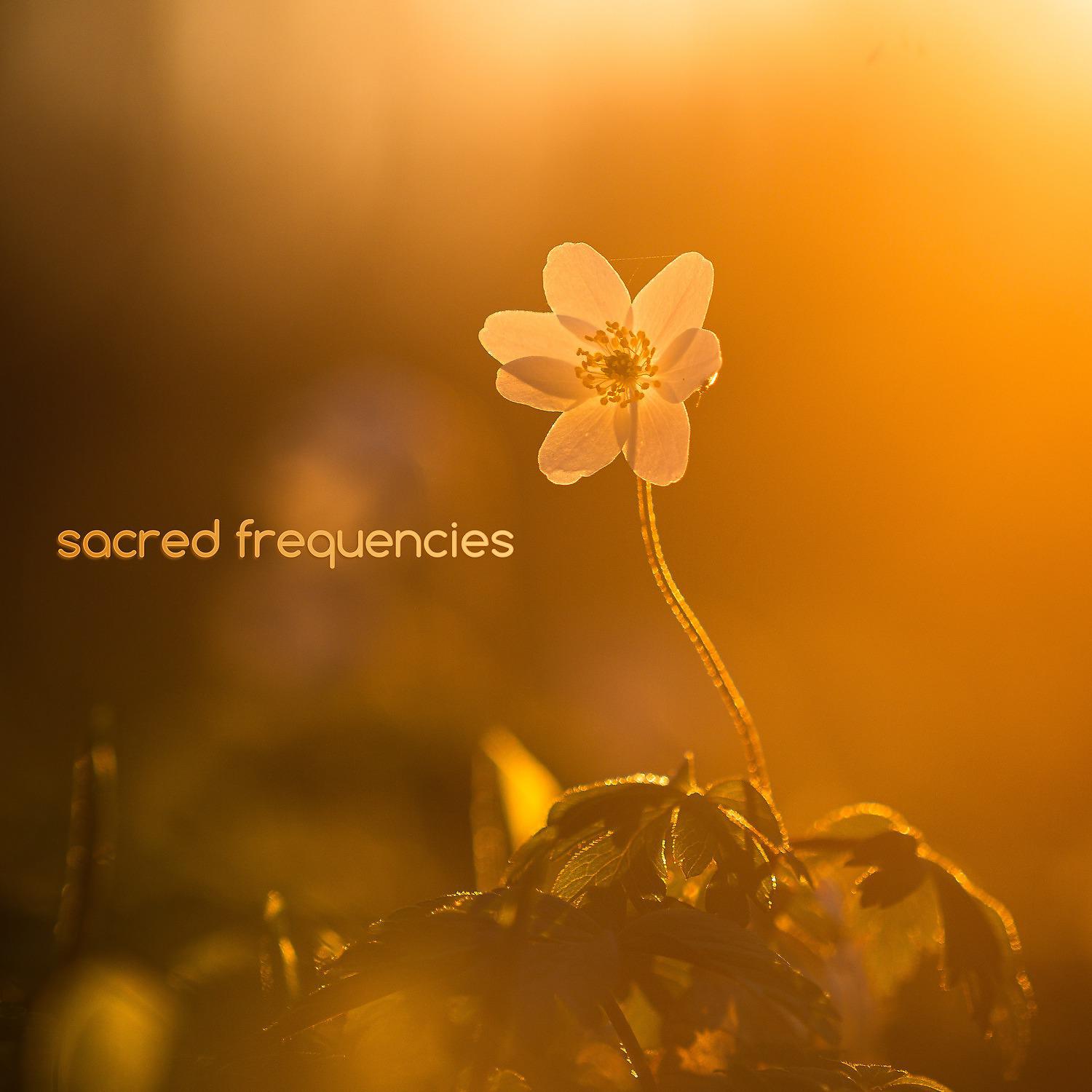Постер альбома Sacred Frequencies