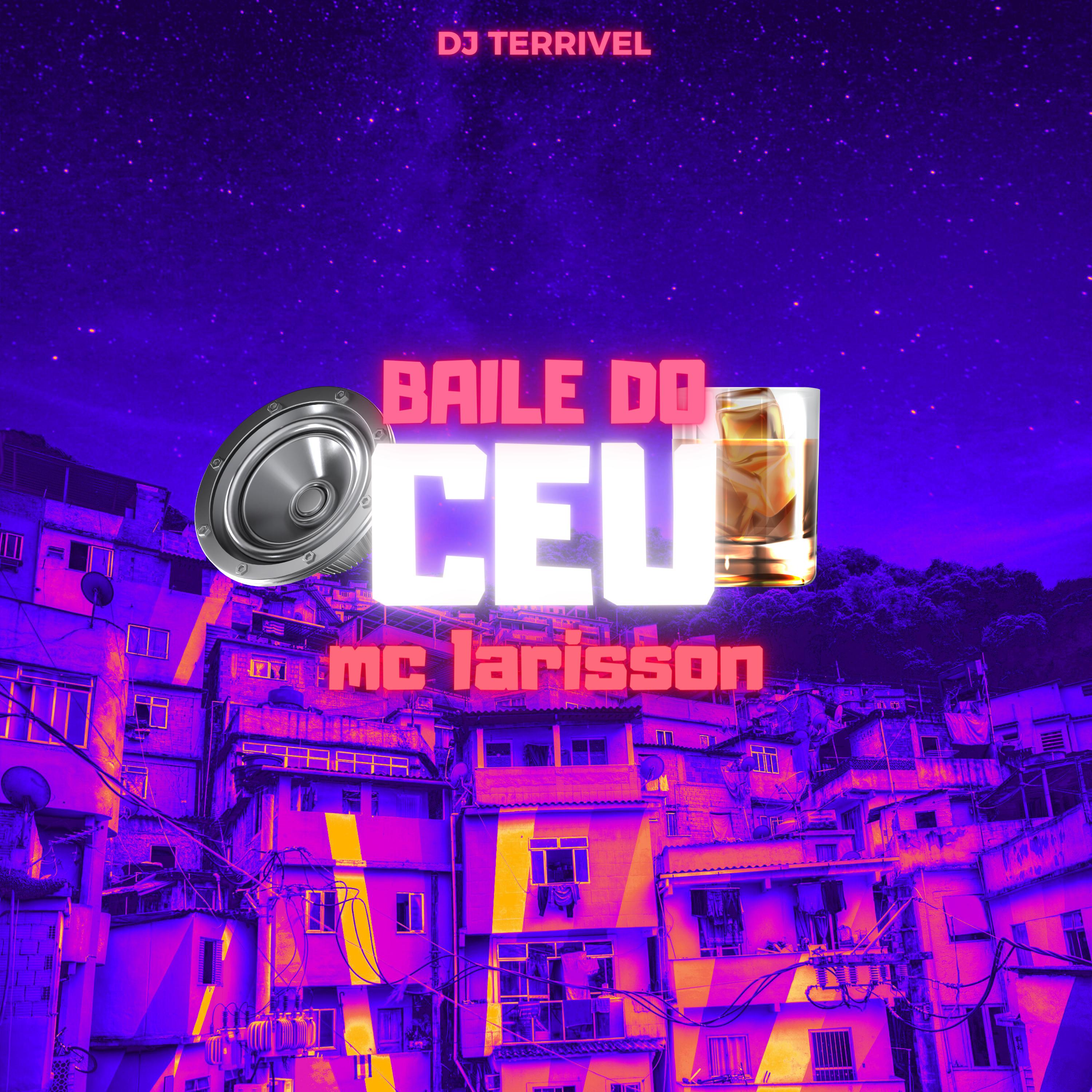 Постер альбома Baile do Ceu