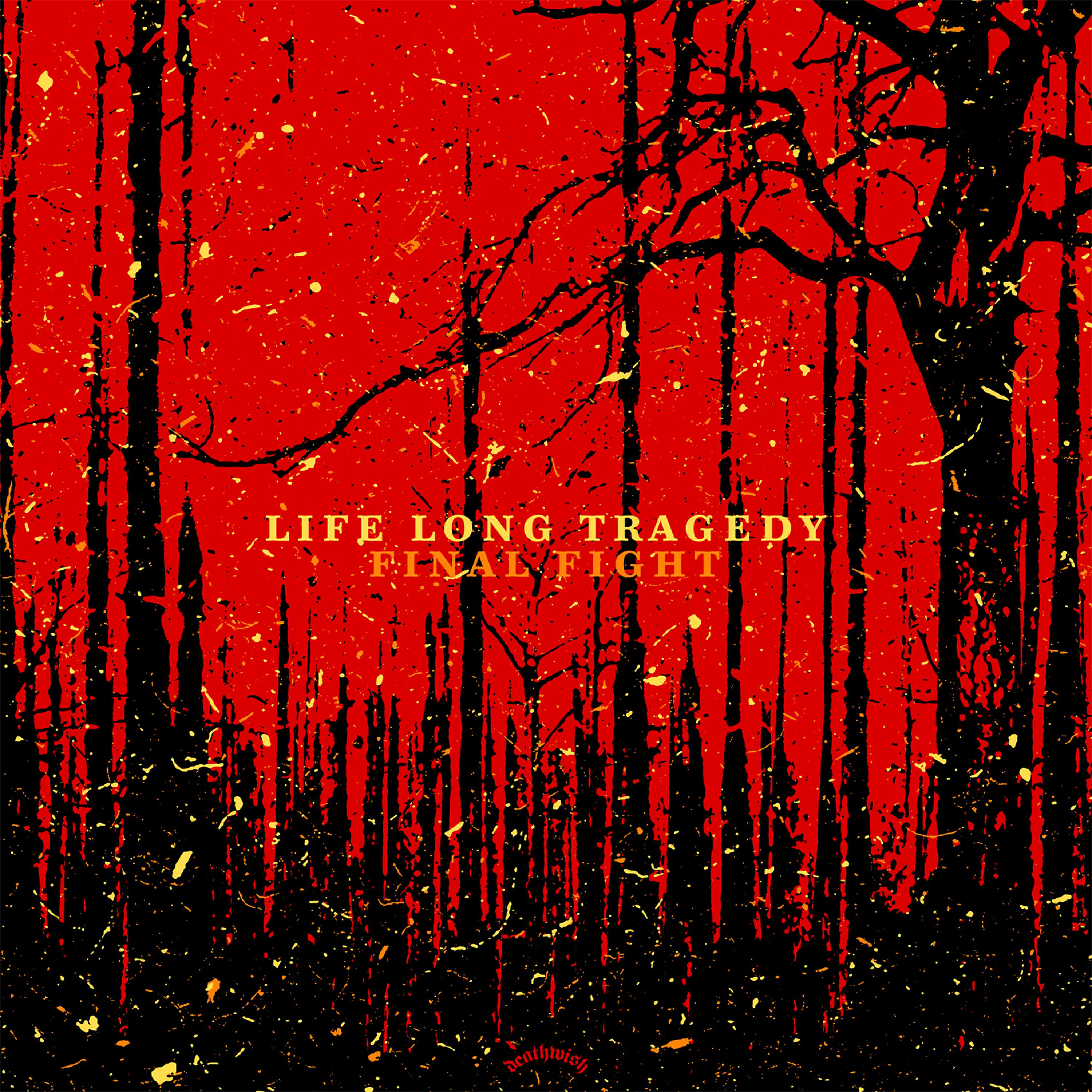 Постер альбома Final Fight / Life Long Tragedy Split