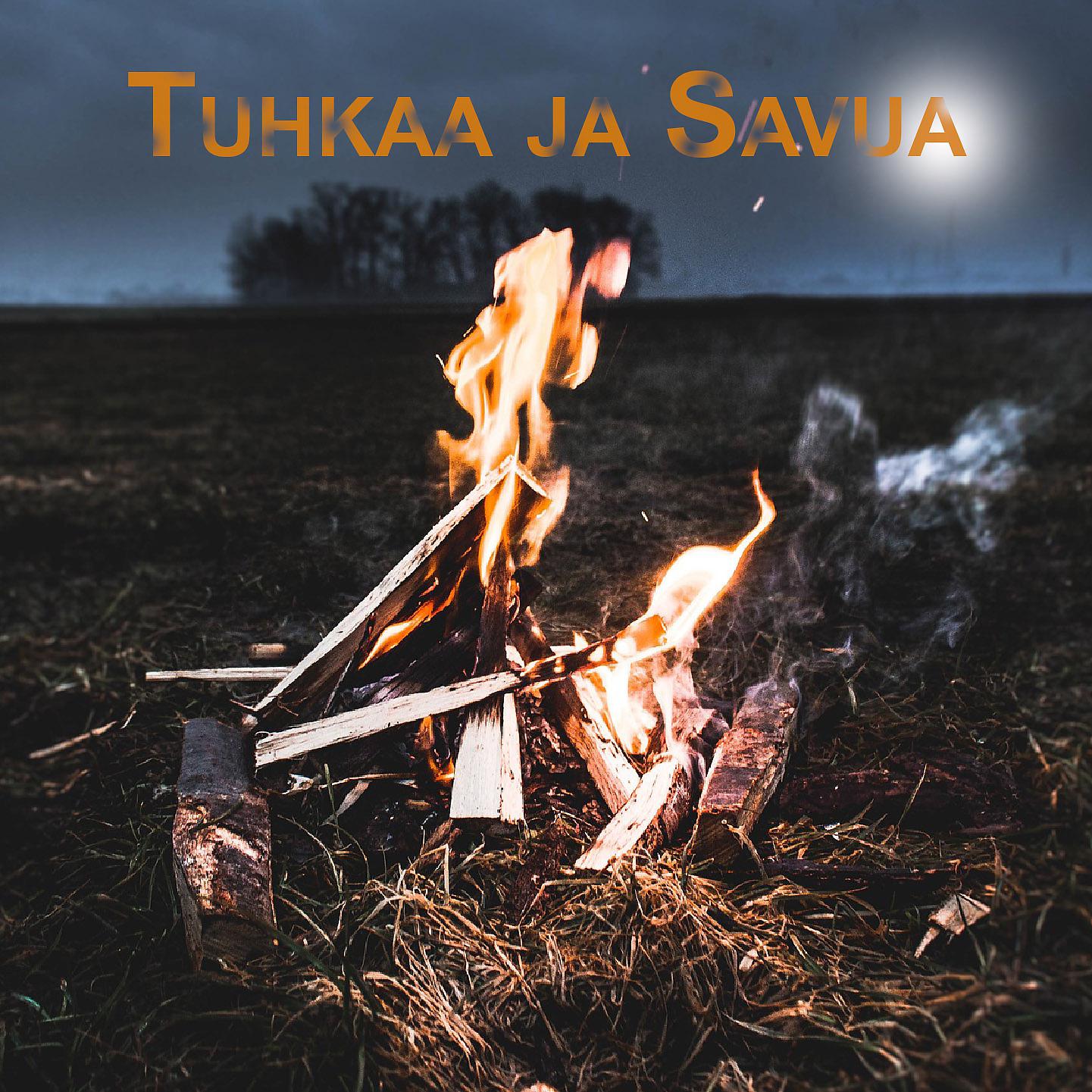 Постер альбома Tuhkaa ja Savua