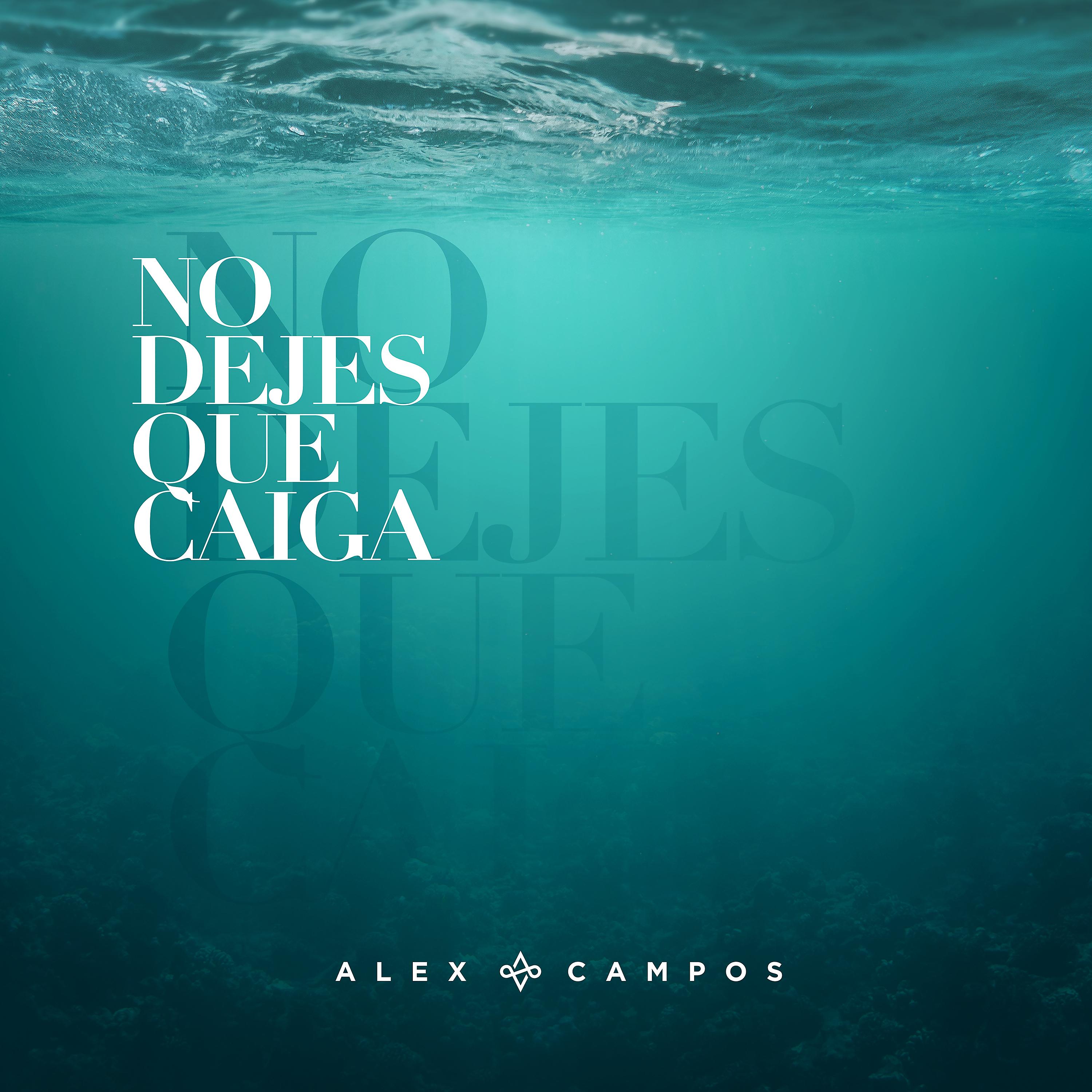 Постер альбома No Dejes Que Caiga