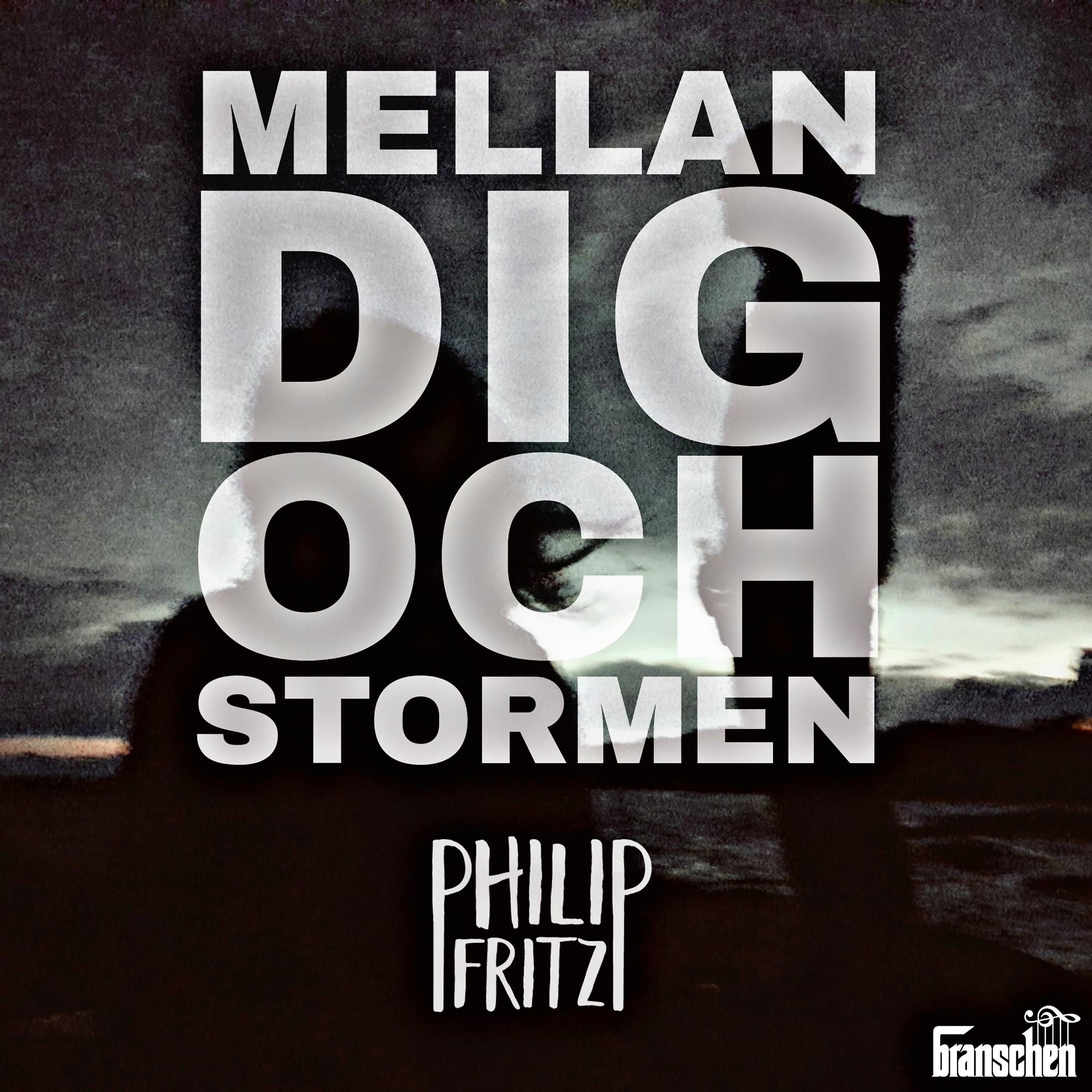 Постер альбома Mellan Dig Och Stormen