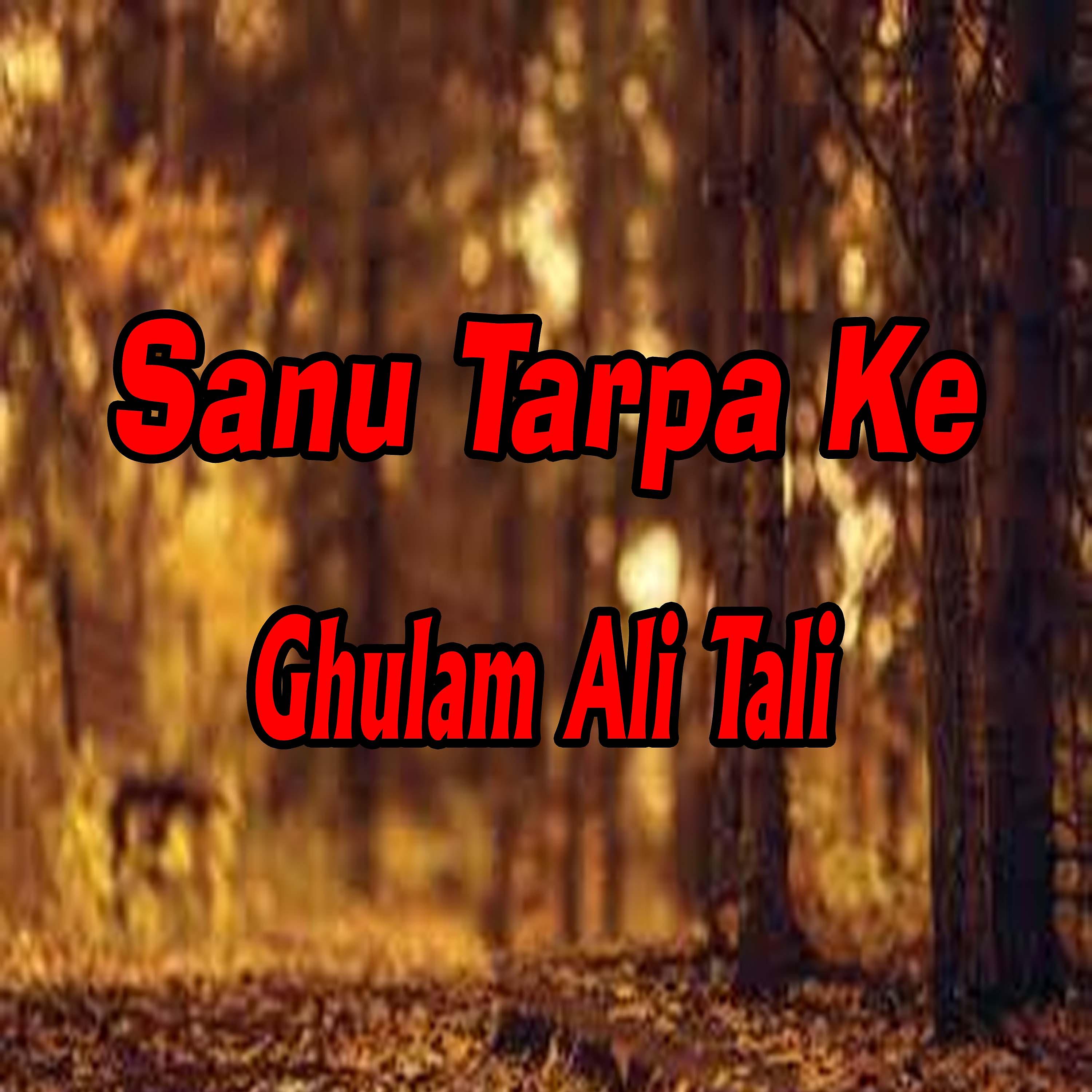 Постер альбома Sanu Tarpa Ke