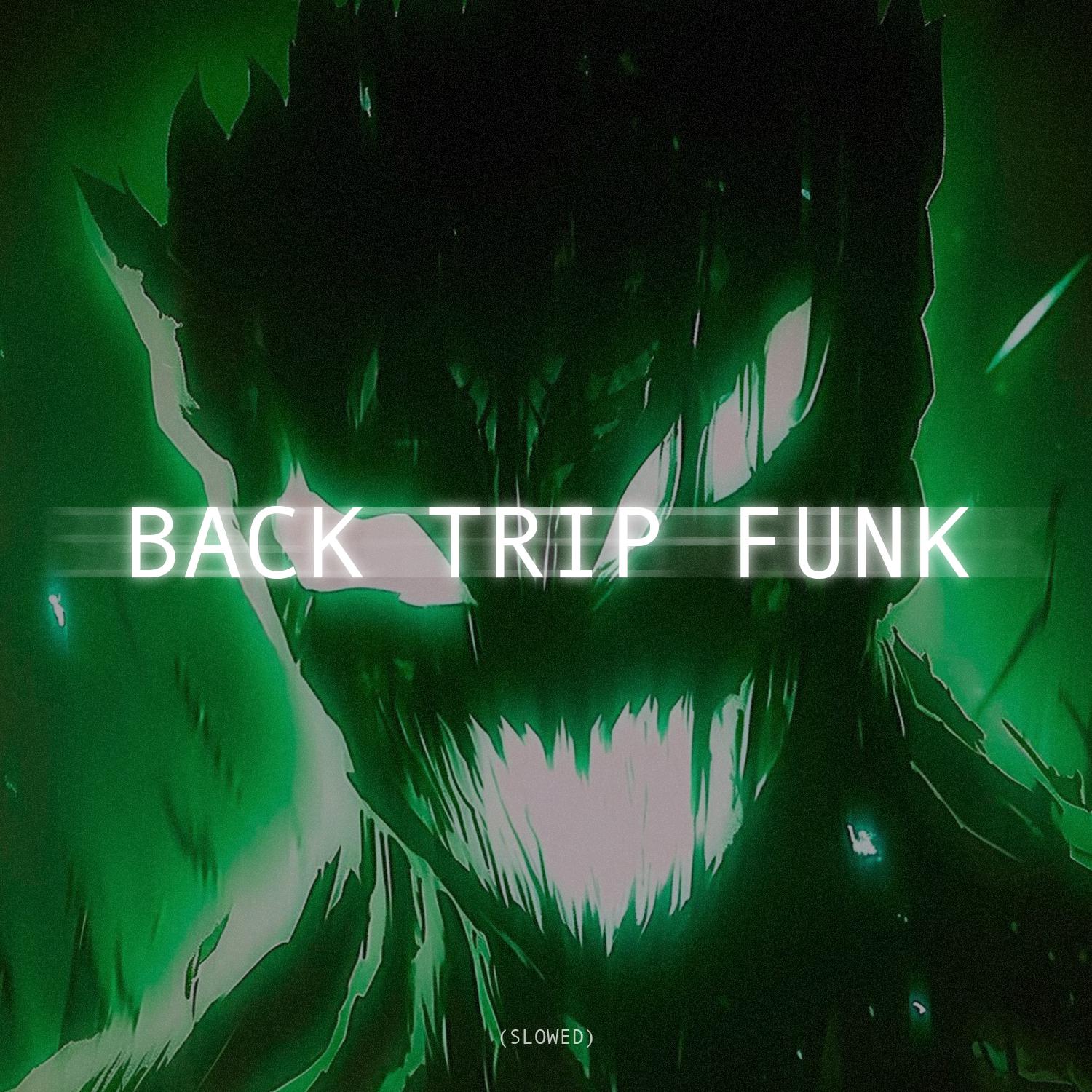 Постер альбома BACK TRIP FUNK (SLOWED)