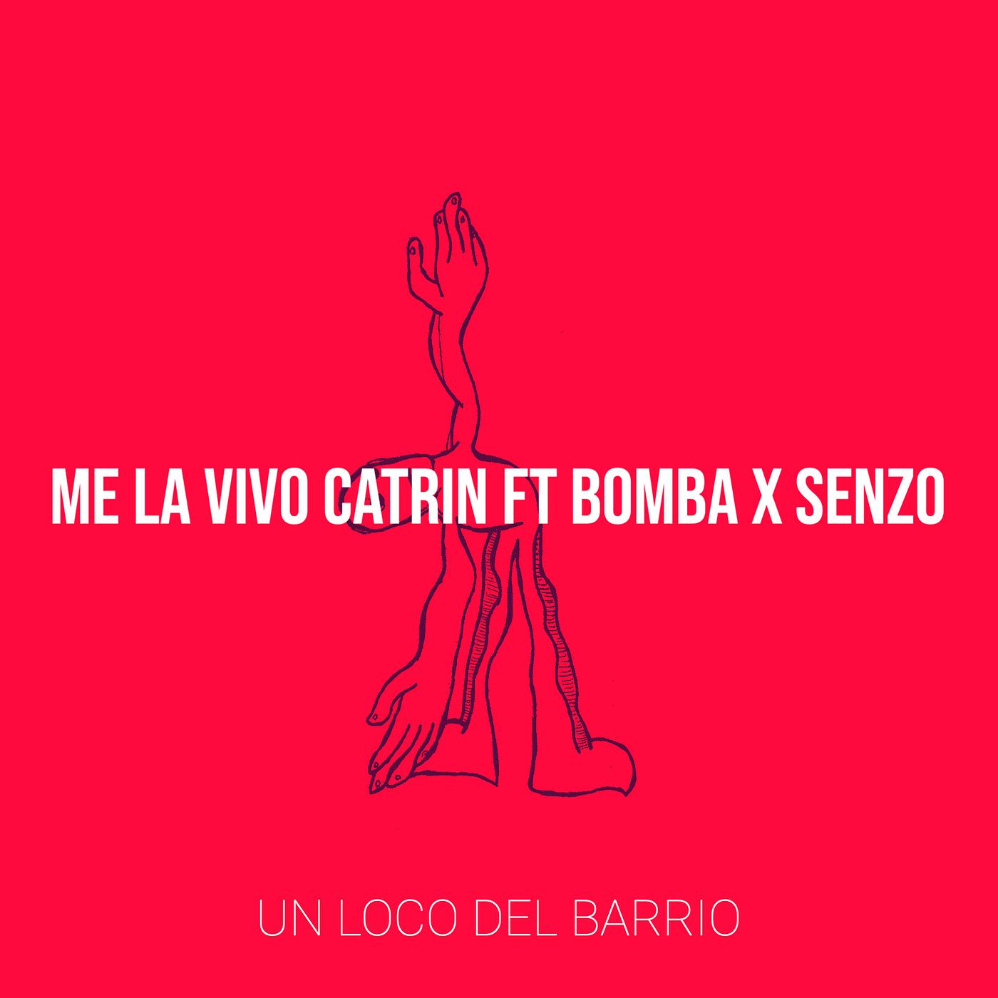 Постер альбома Me La Vivo Catrin