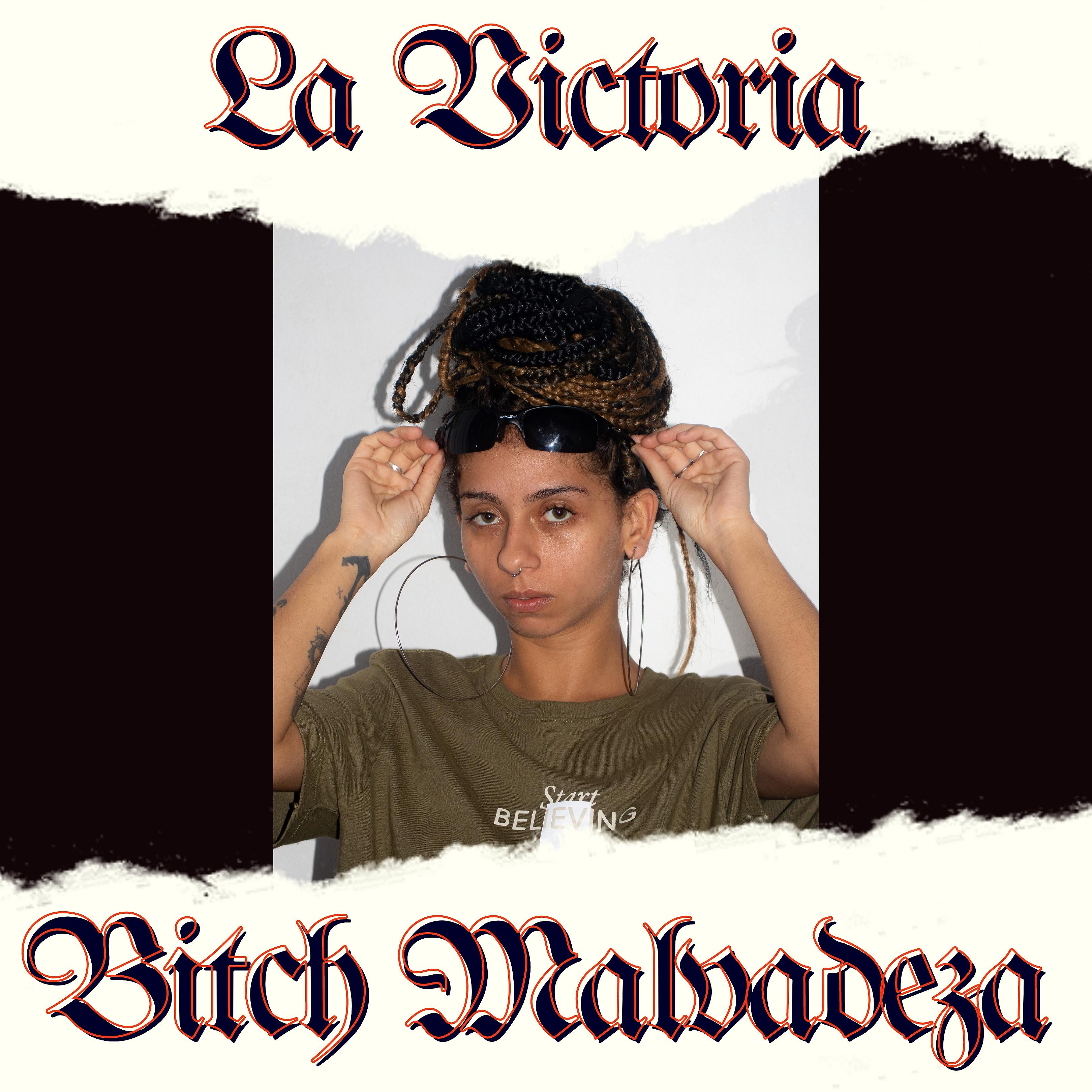 Постер альбома Bitch Malvadeza