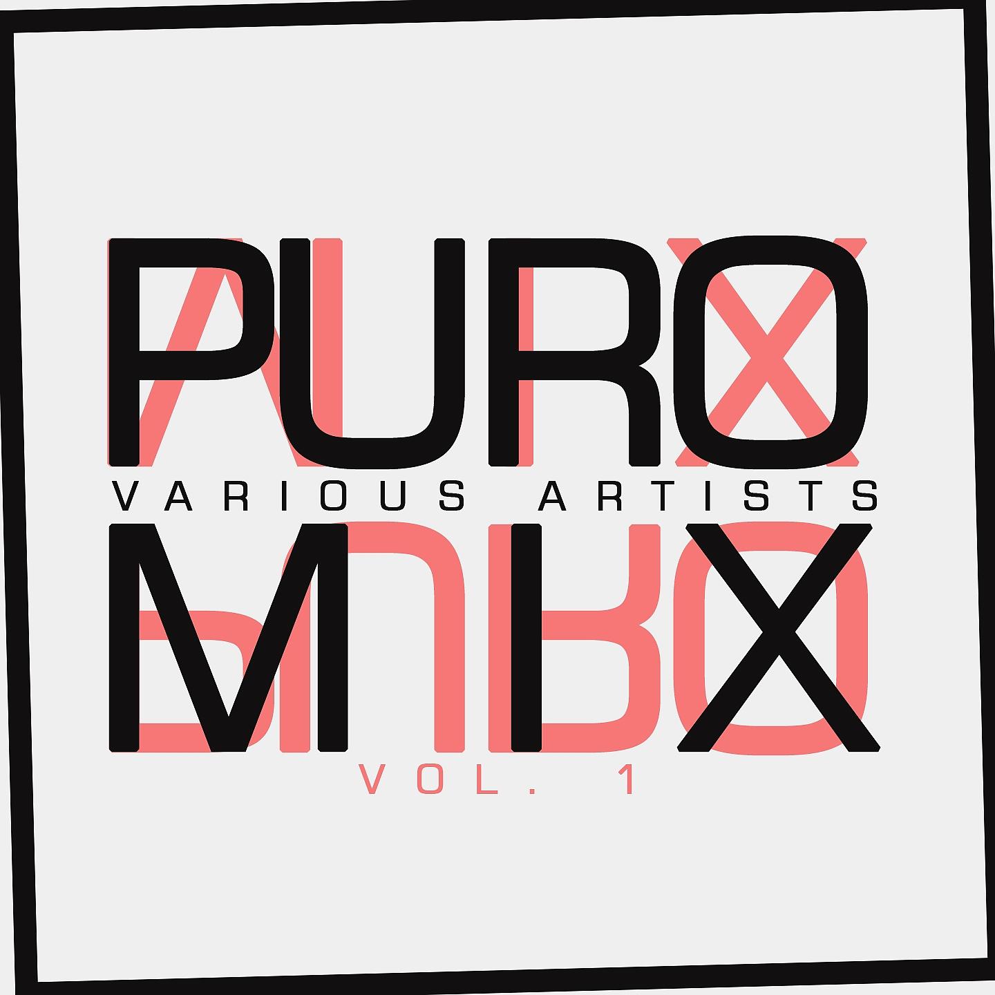 Постер альбома Puro Mix
