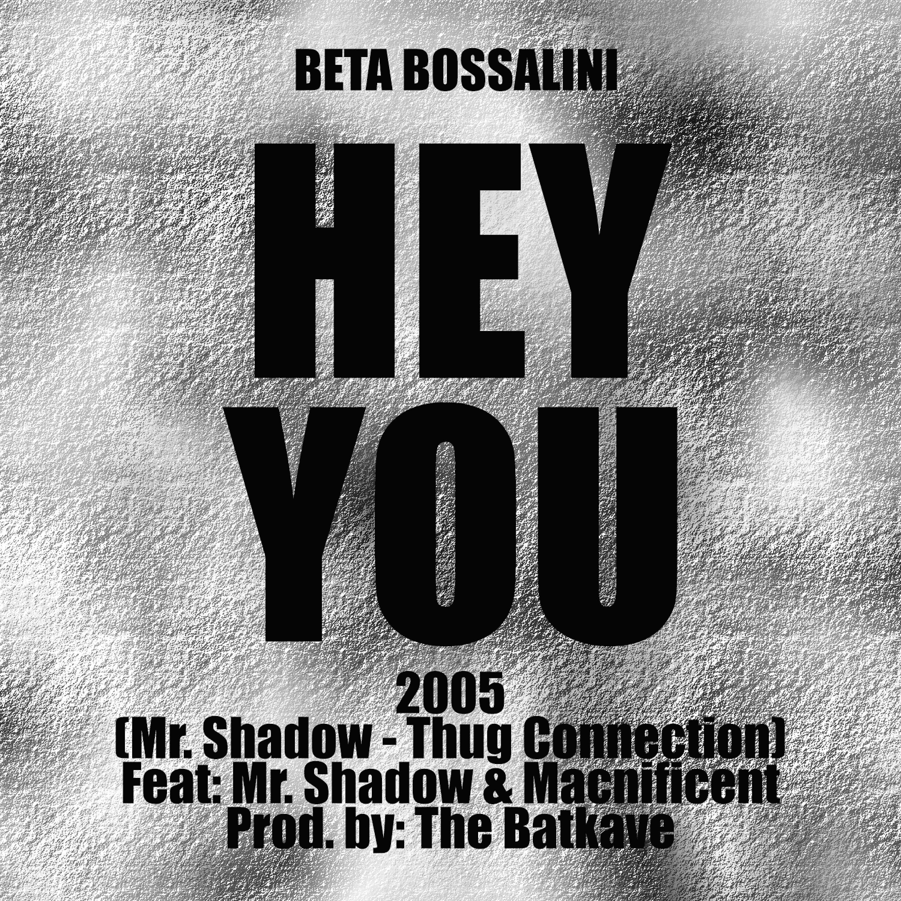 Постер альбома Hey You (feat. Mr. Shadow & Macnificent)