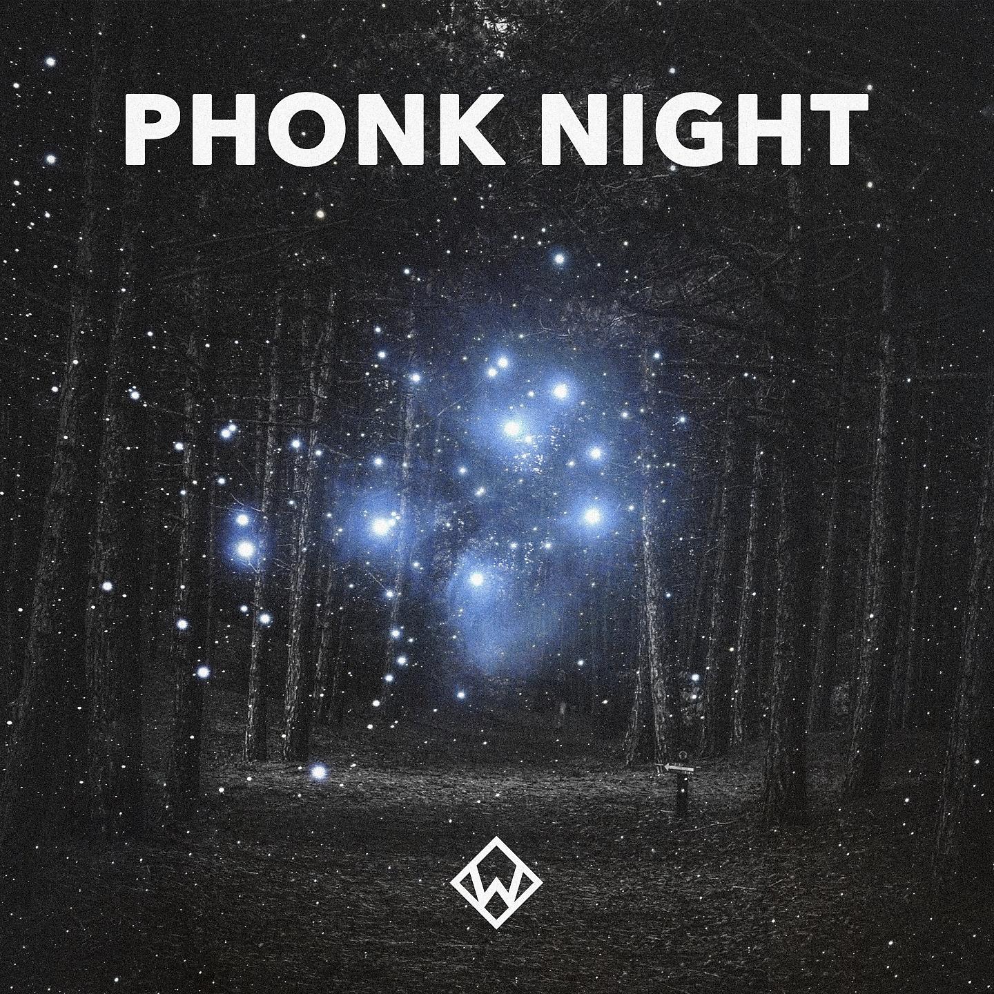 Постер альбома Phonk Night