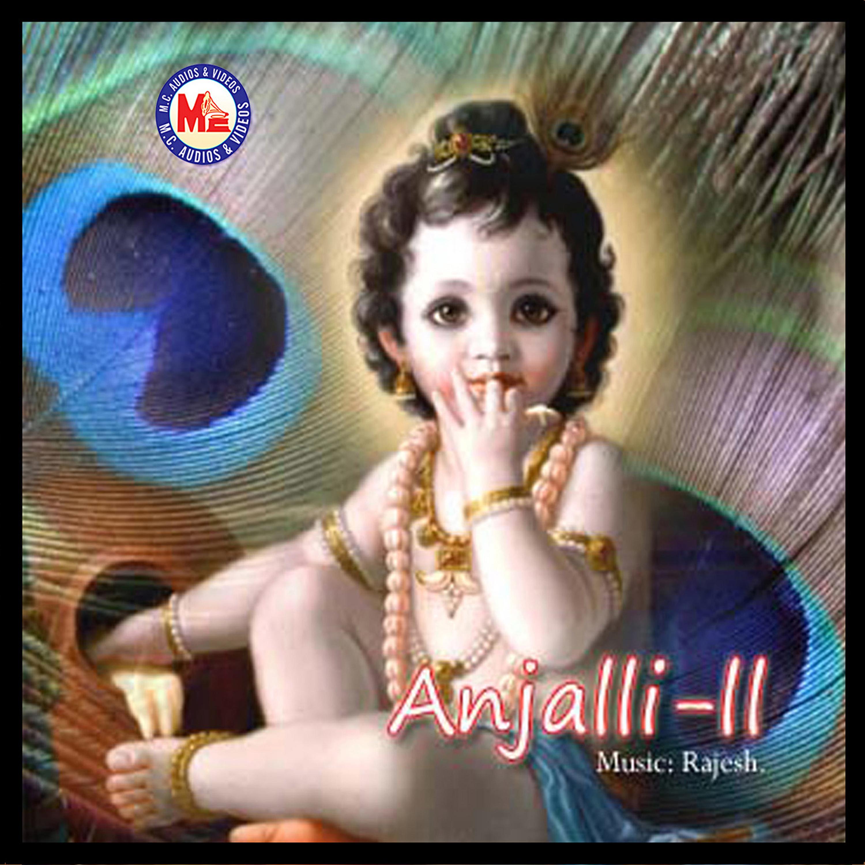 Постер альбома Anjali, Vol. 2
