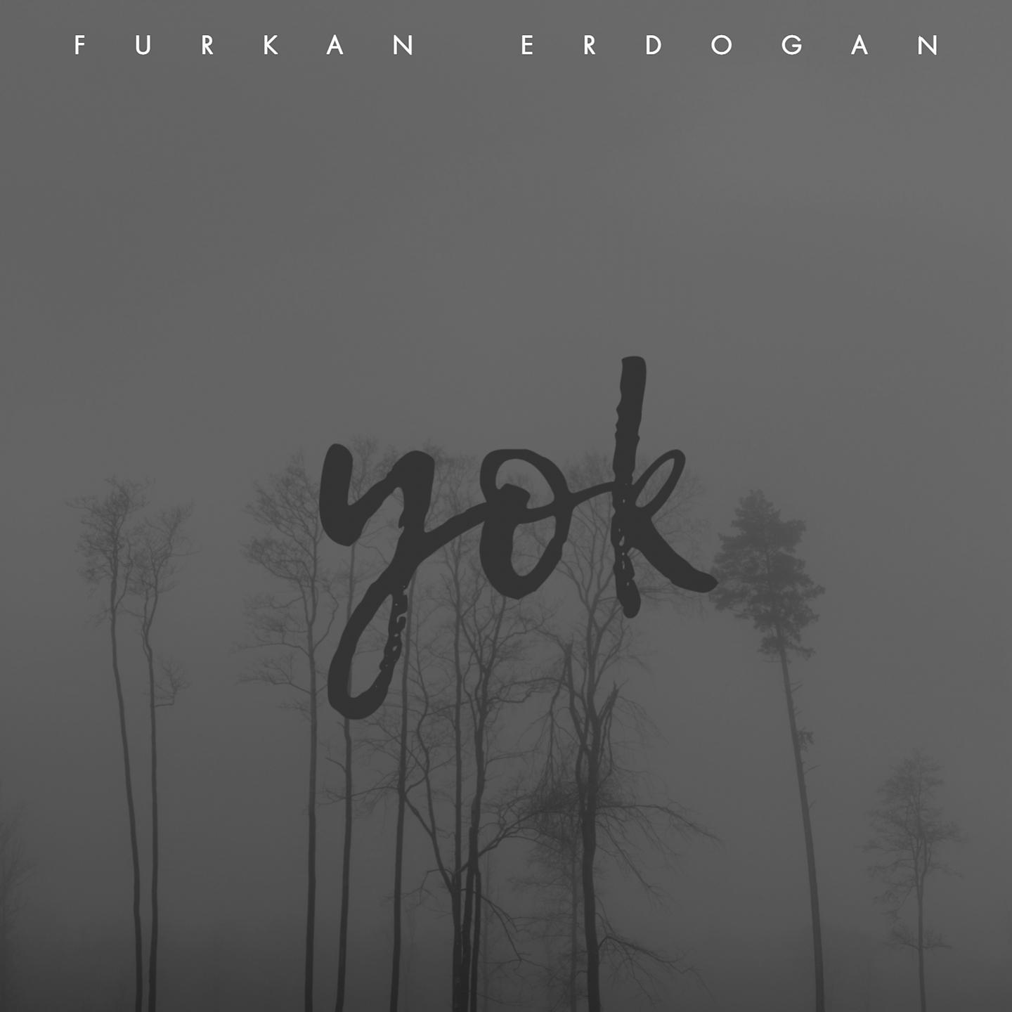 Постер альбома Yok