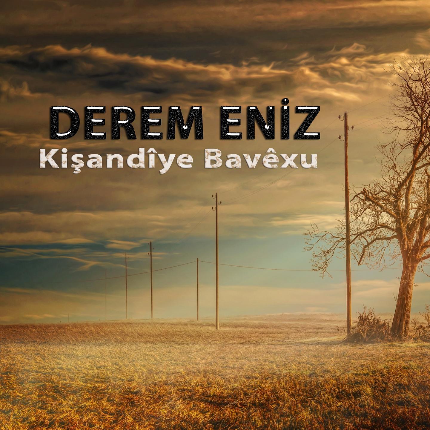 Постер альбома Kişandîye Bavêxu
