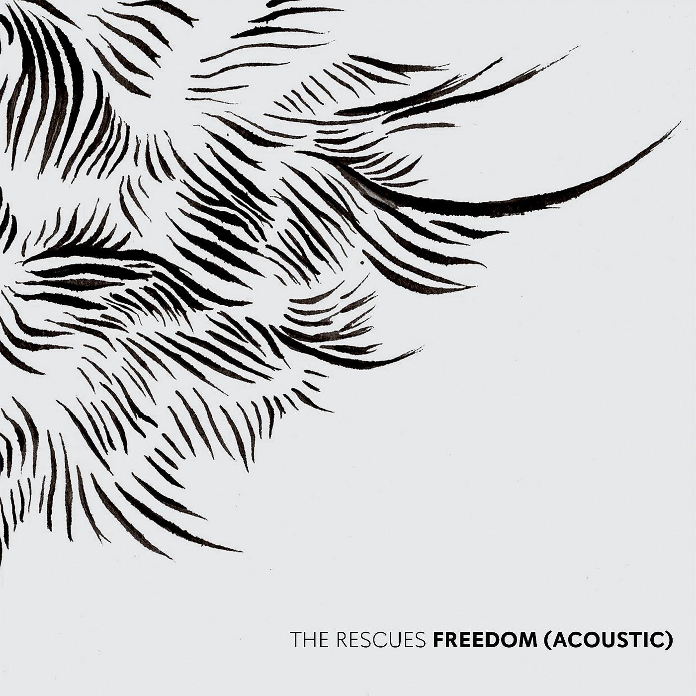 Постер альбома Freedom (Acoustic)