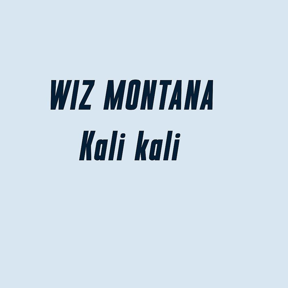 Постер альбома Kali Kali