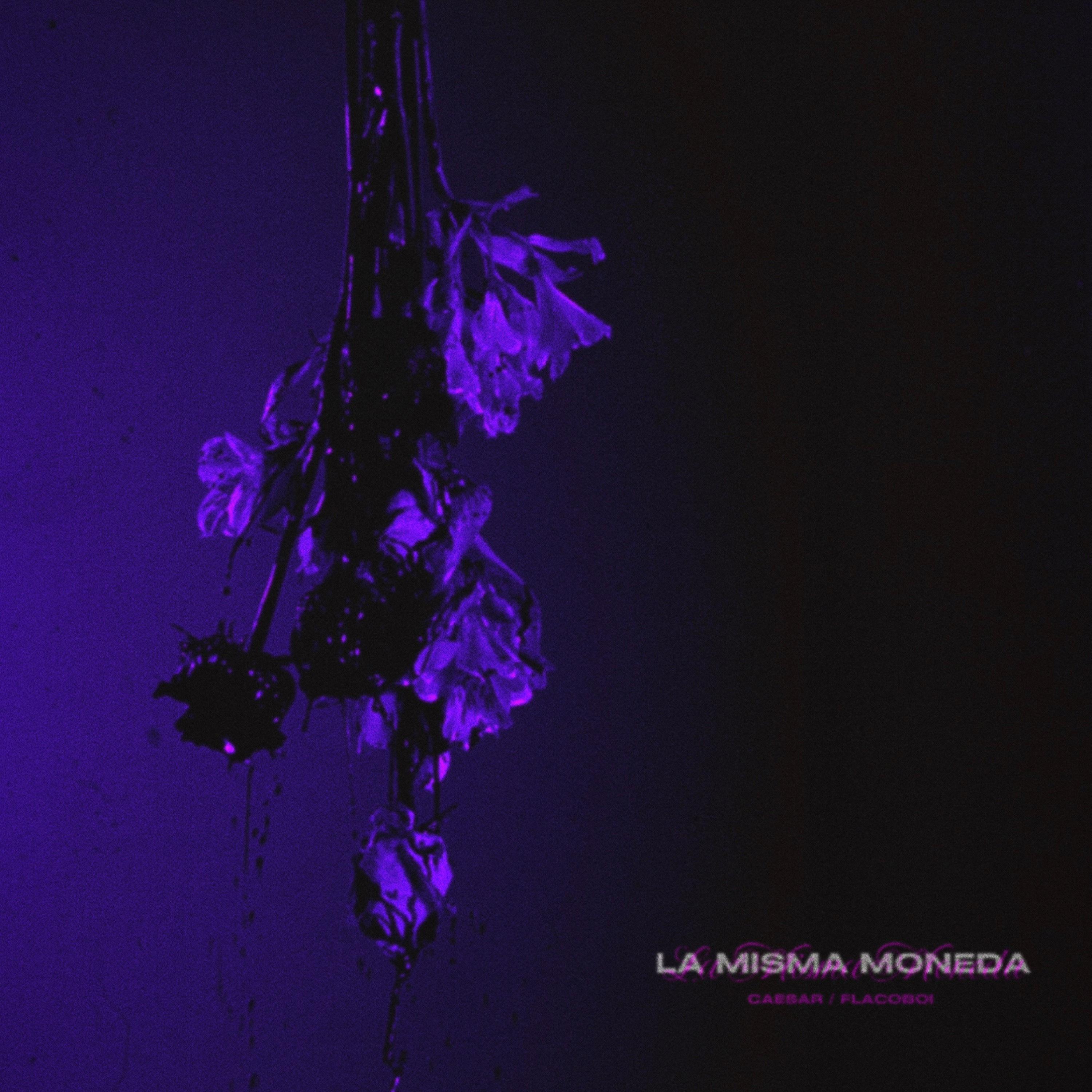 Постер альбома La Misma Moneda