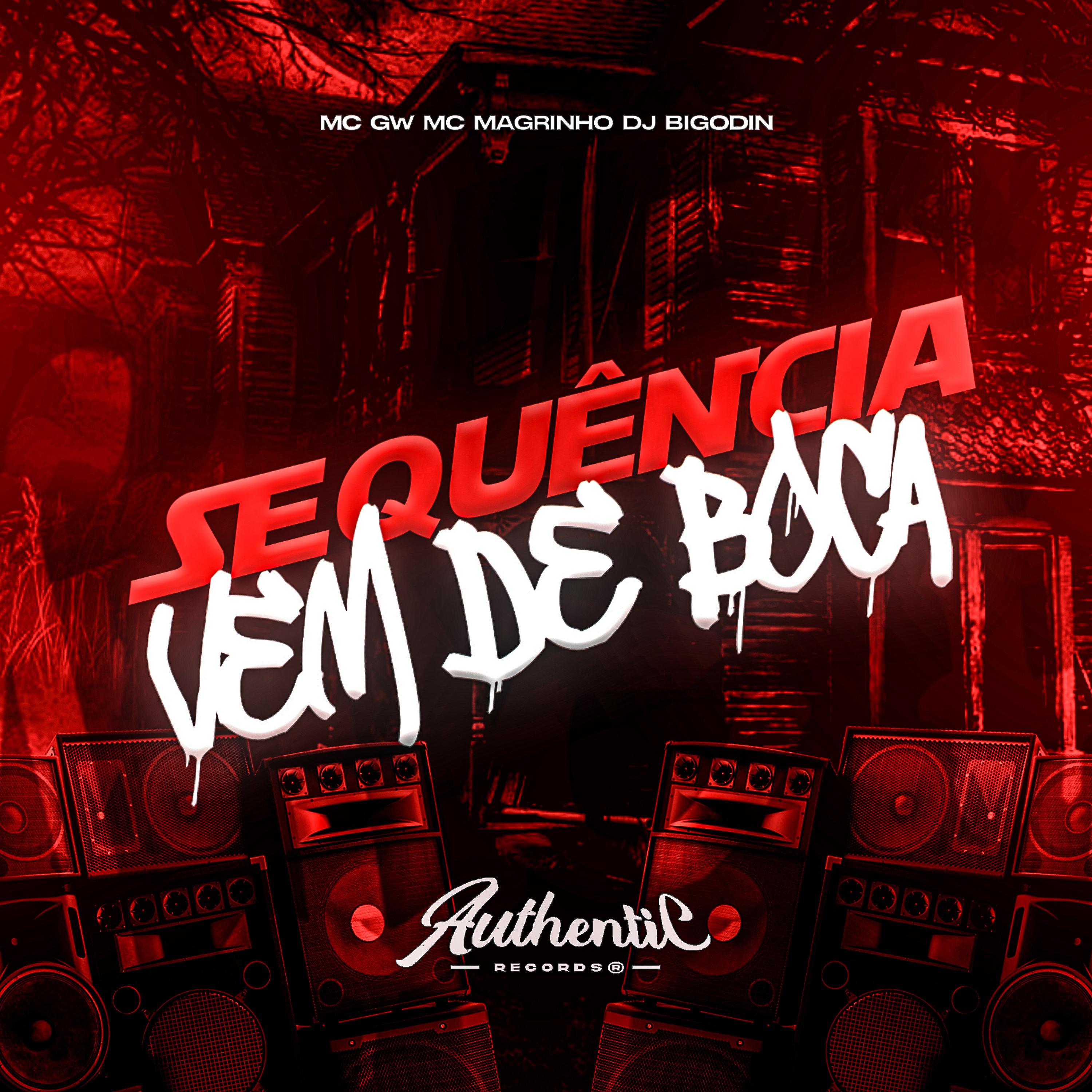 Постер альбома Sequência Vem de Boca