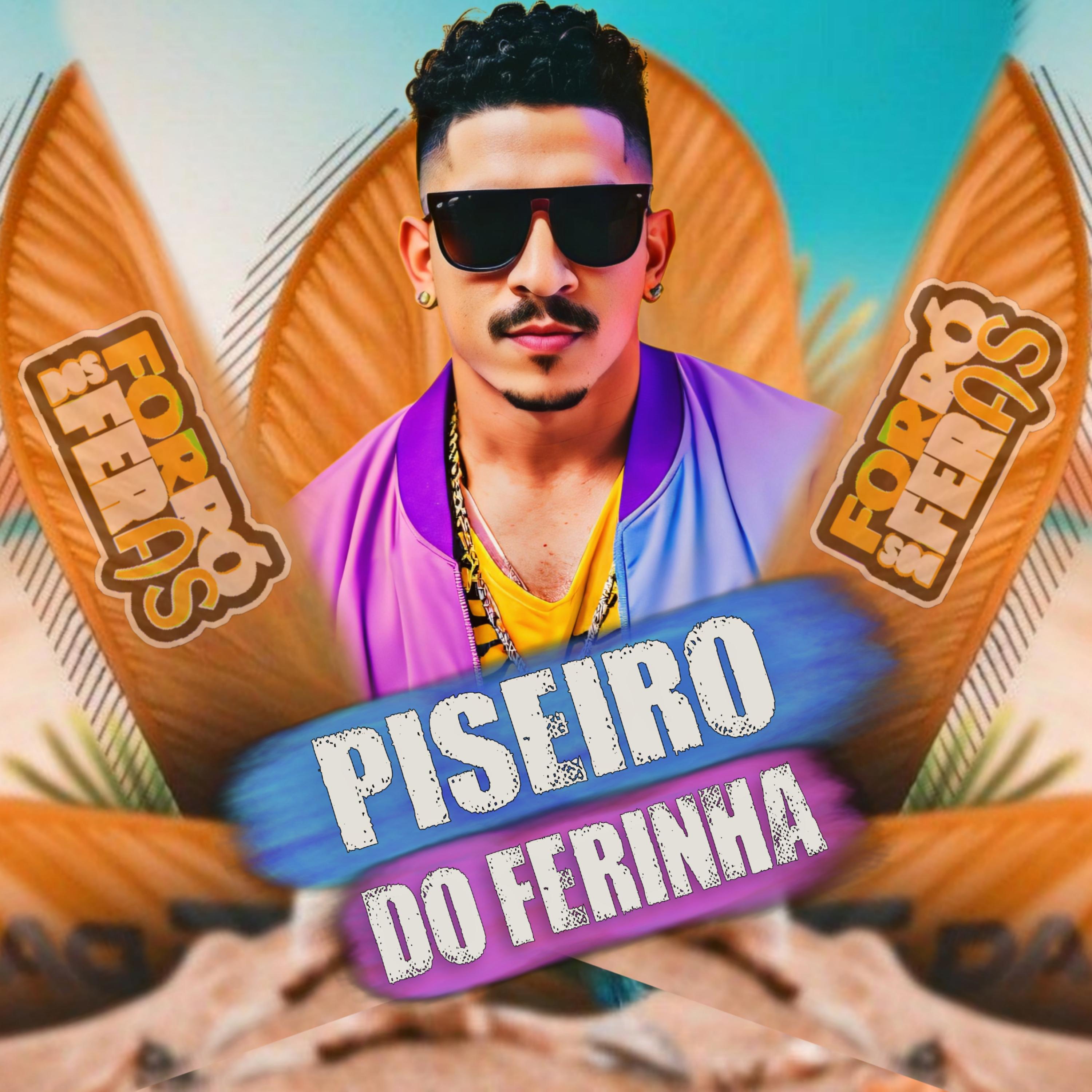 Постер альбома Piseiro do Ferinha