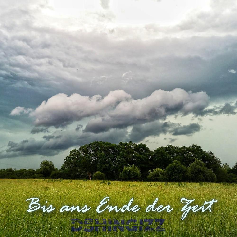Постер альбома Bis ans Ende der Zeit